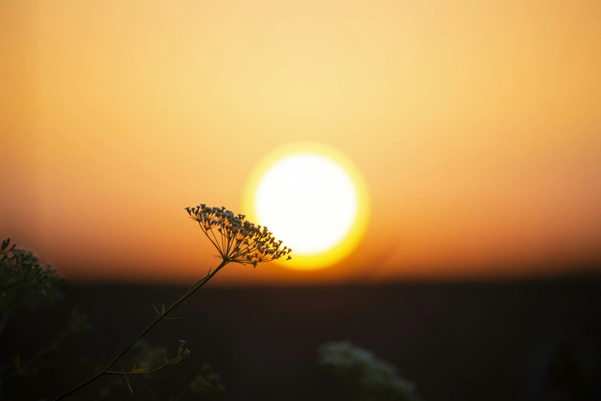 Beltane, full moon energy - be in the heart
