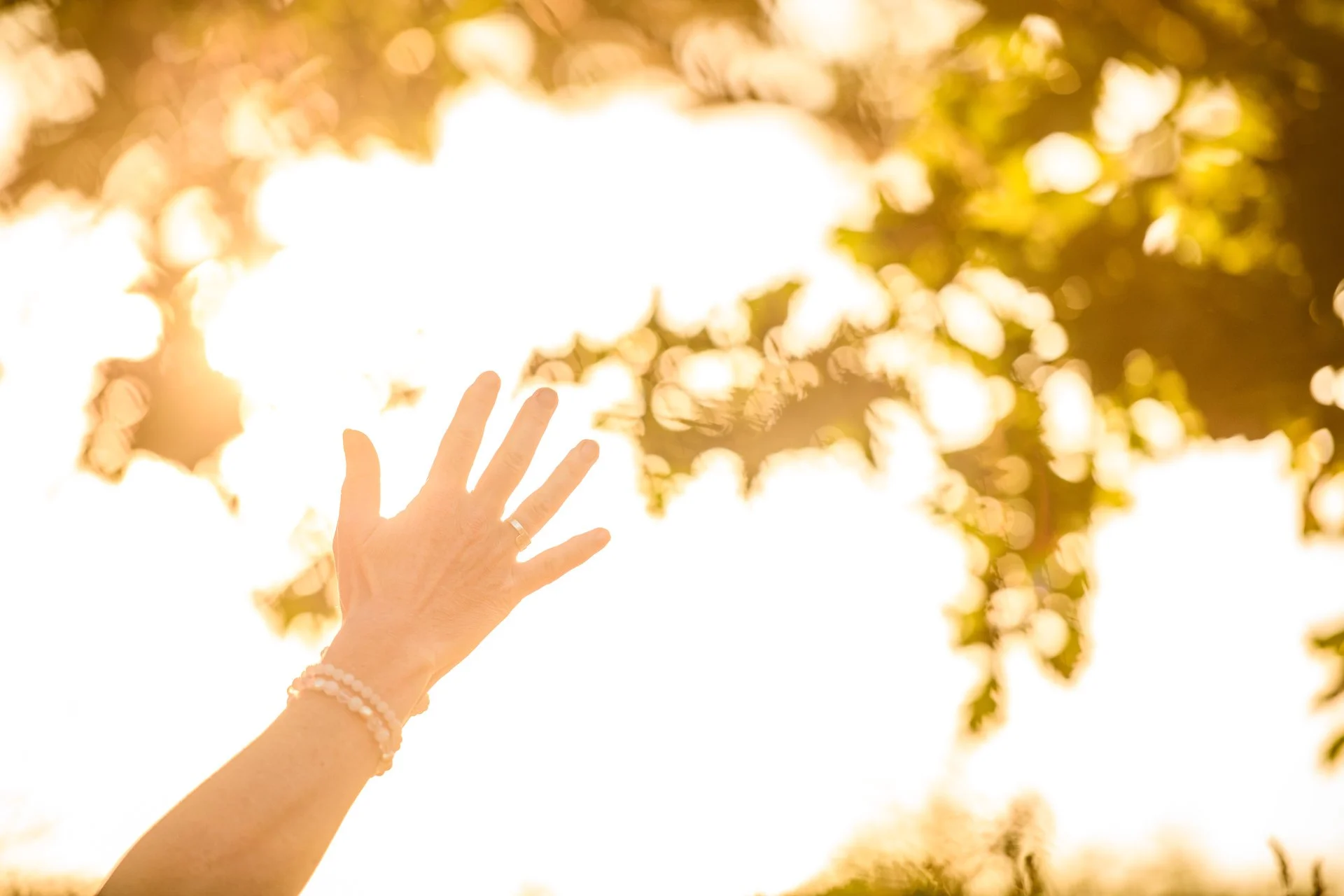 Reiki Empowerment by the fir