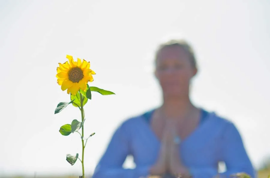 Monthly Vedic chanting 