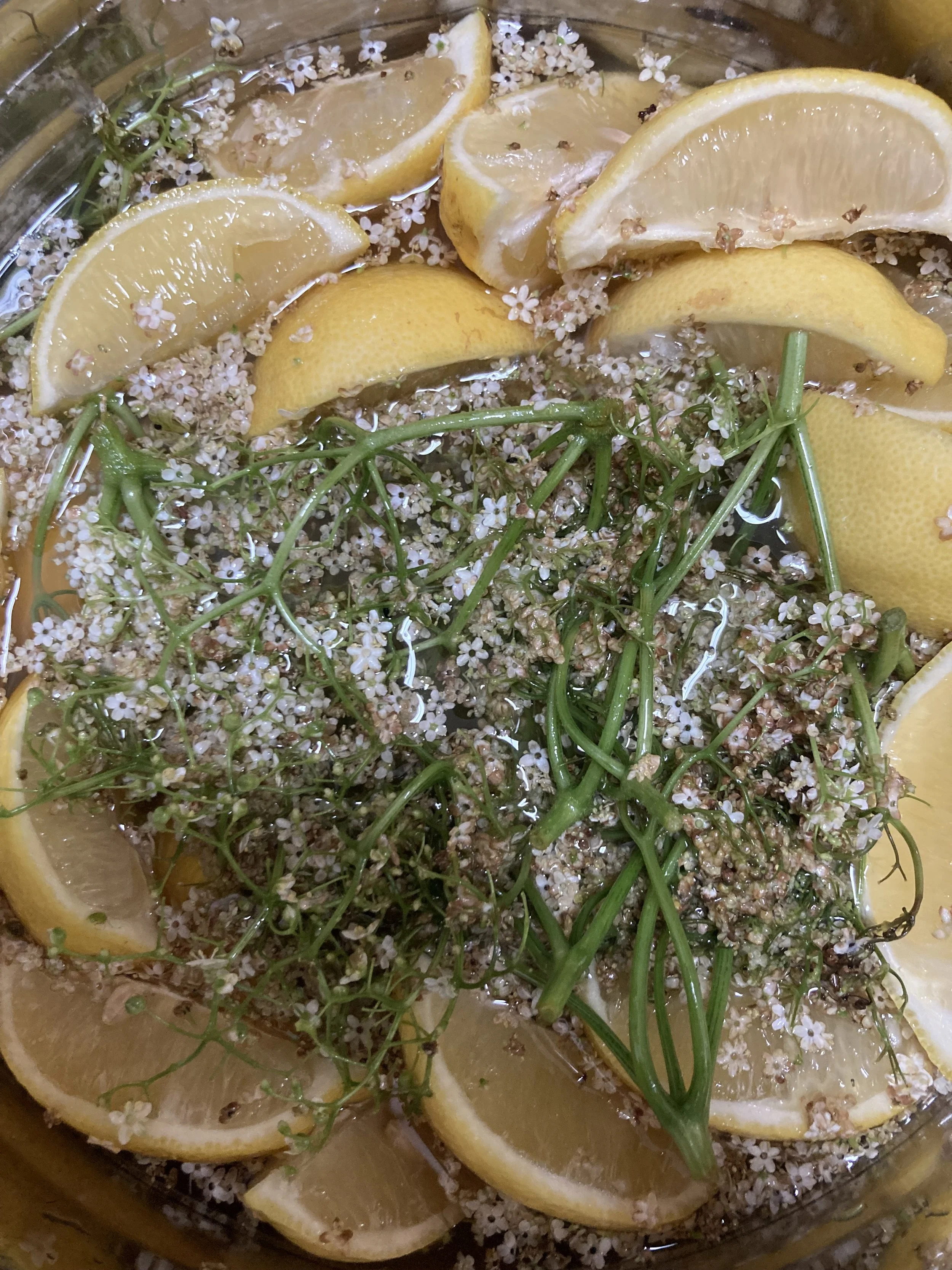 The magic of elderflowers