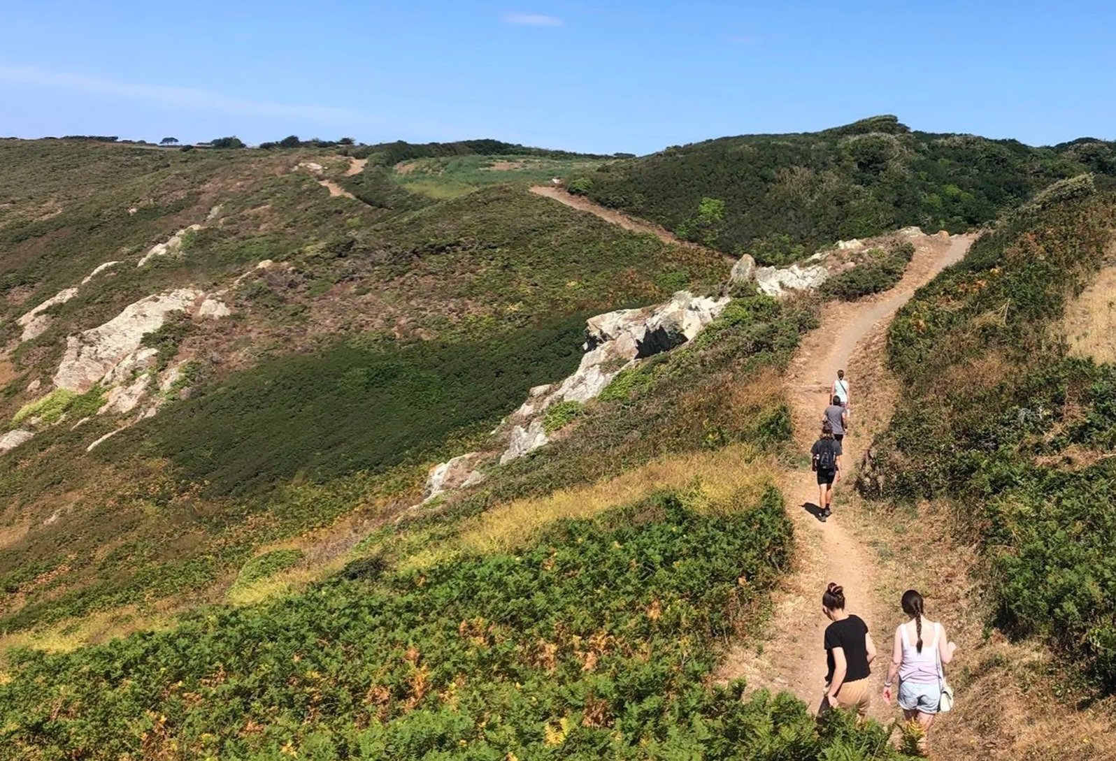 Wellness Walks