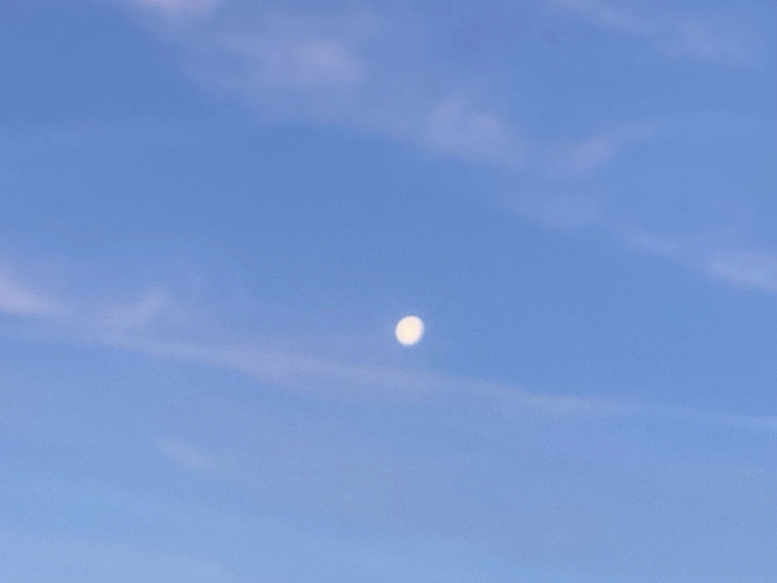 IMG_6515.jpeg