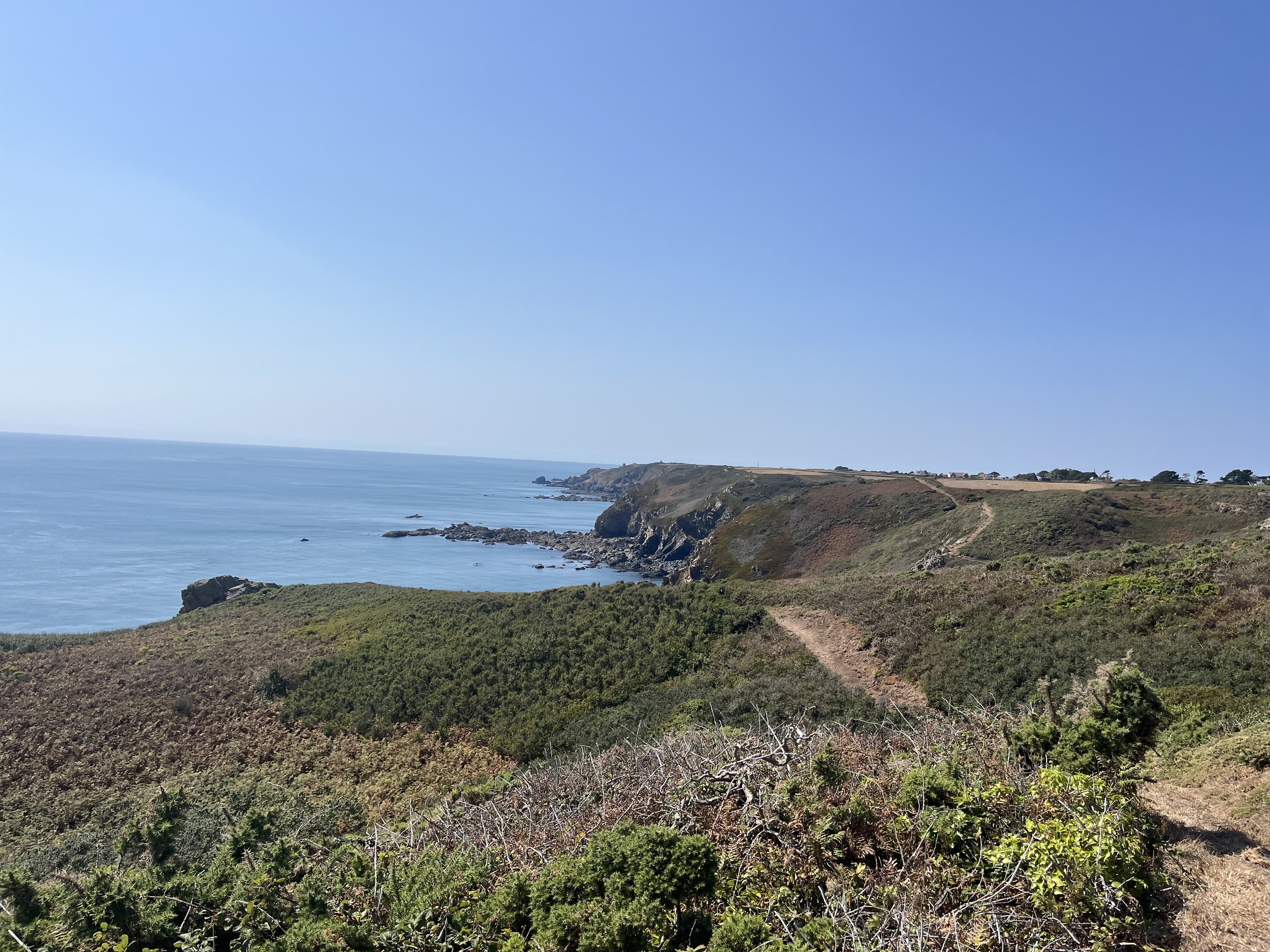 IMG_0145.jpeg