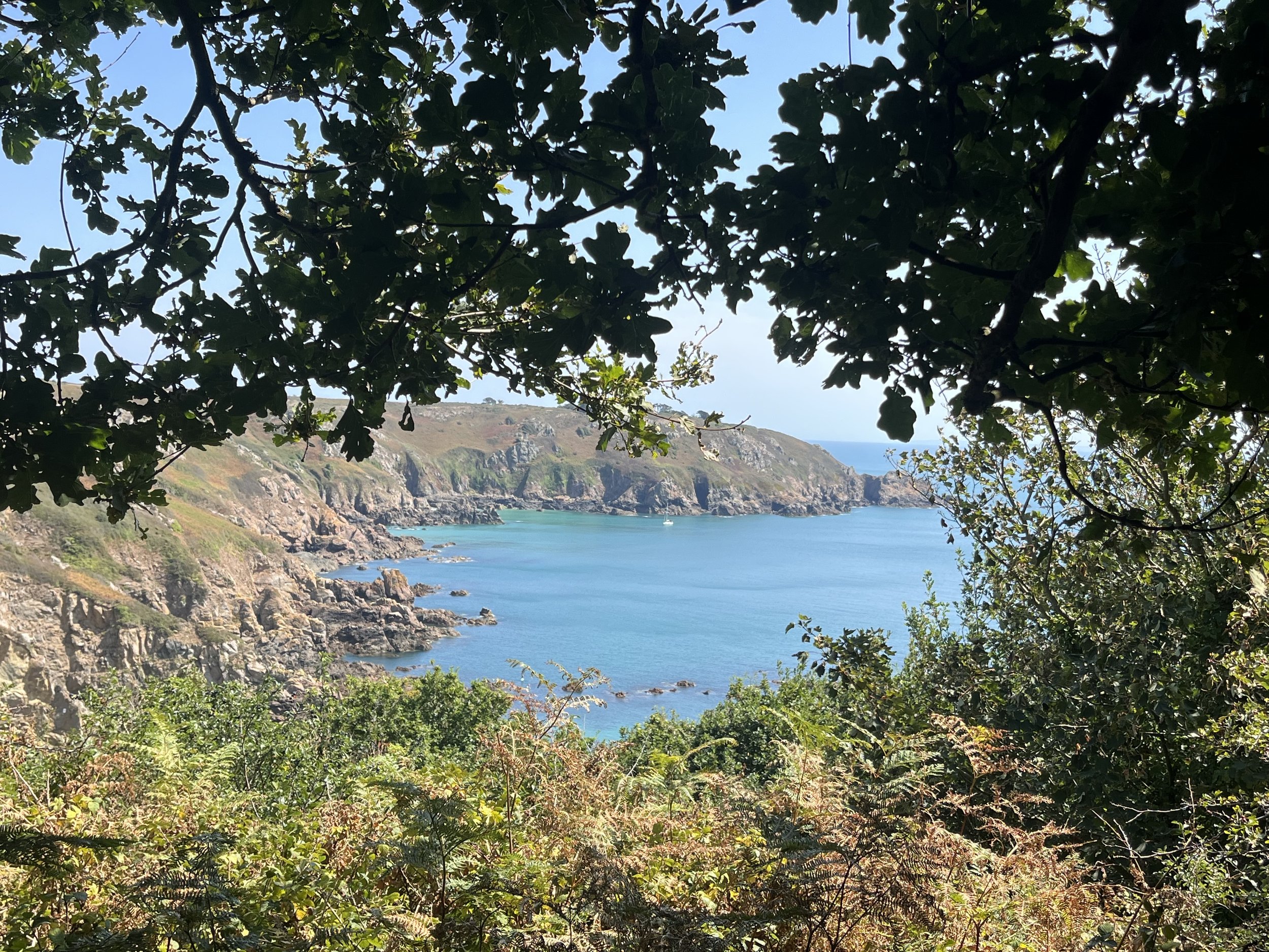 IMG_0141.jpeg