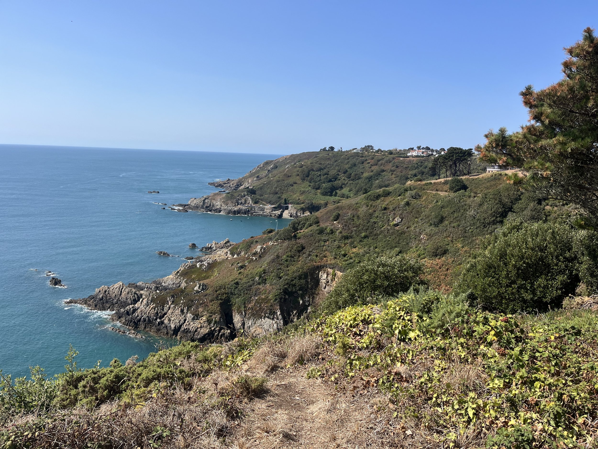 IMG_0139.jpeg