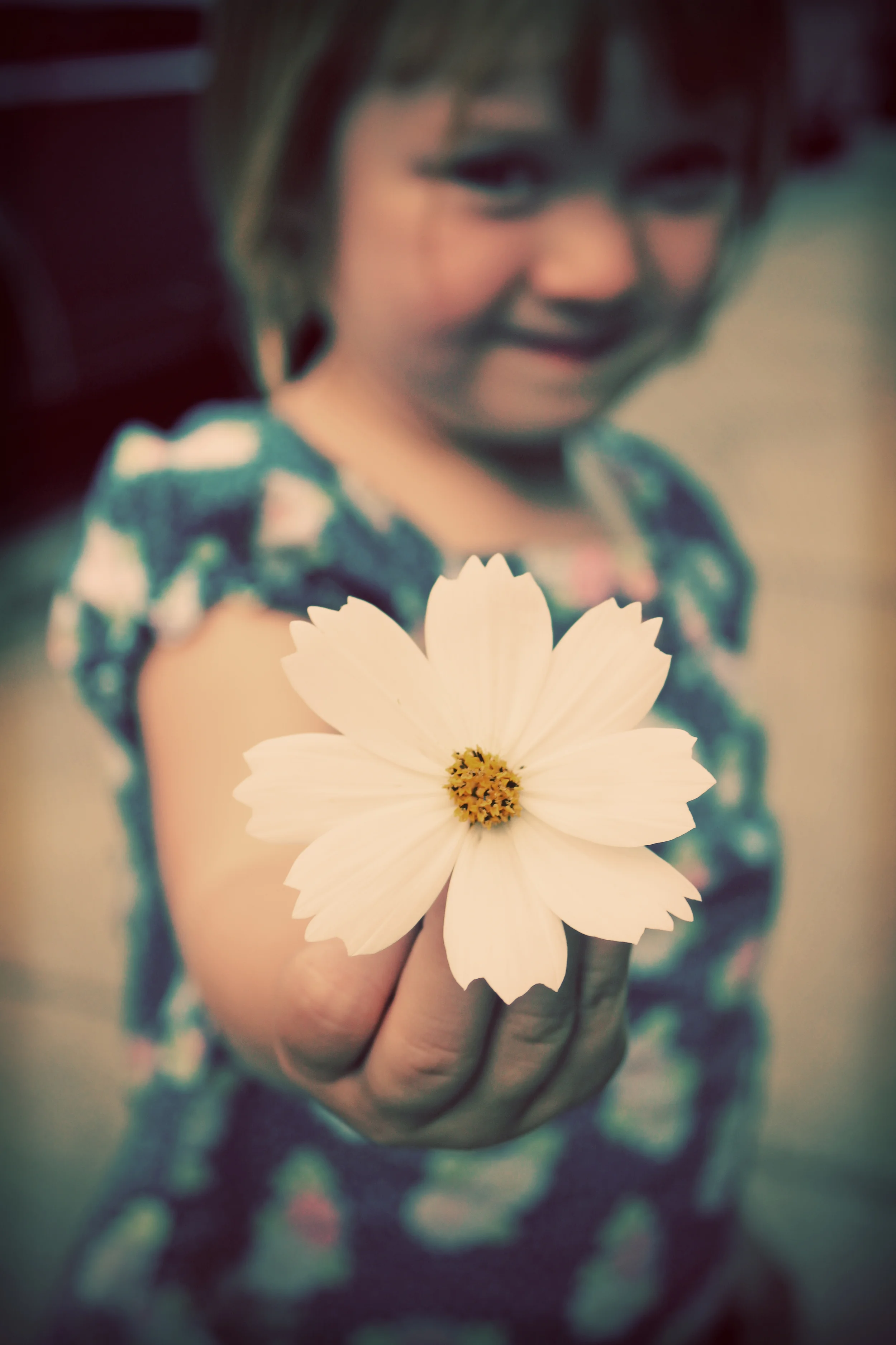 4870124091_a88cb27ff1_o.jpg