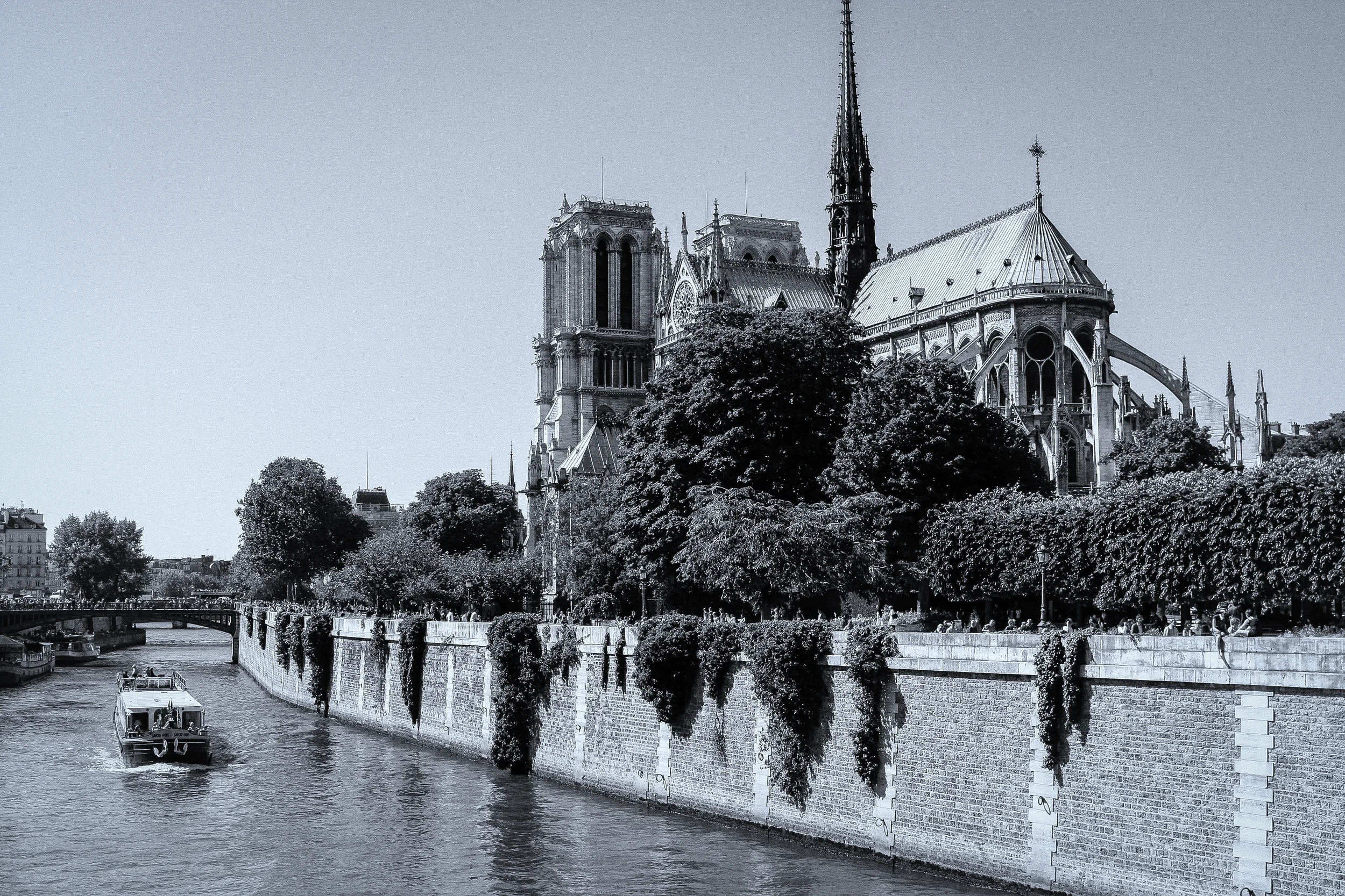IMG_9817-Edit.jpg