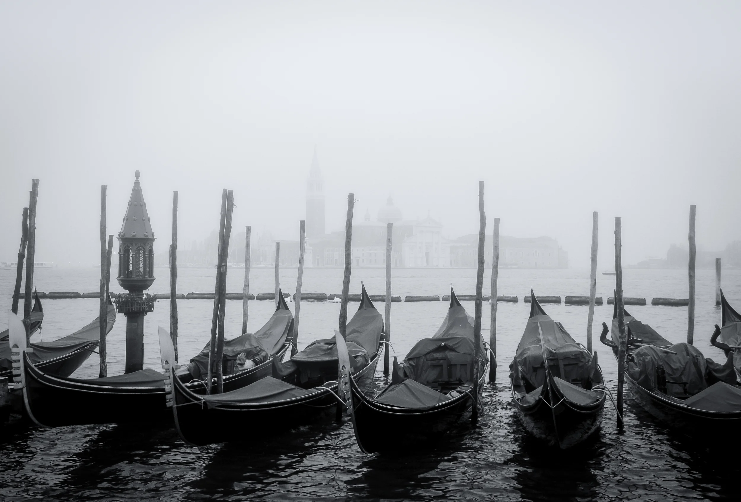 IMG_5869-Edit-Edit.jpg
