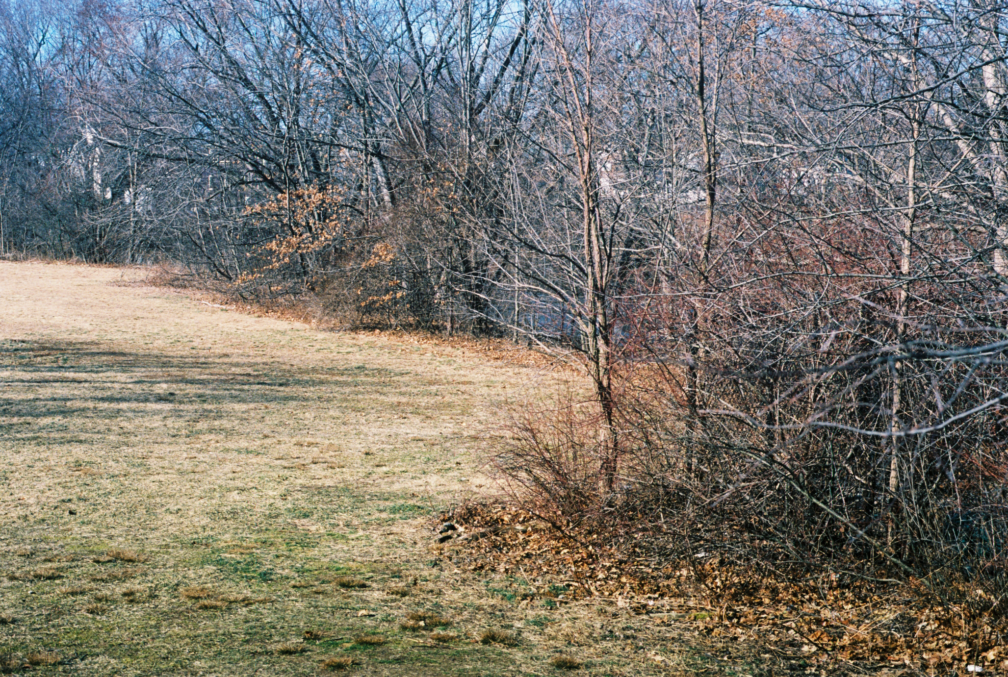 49.jpg