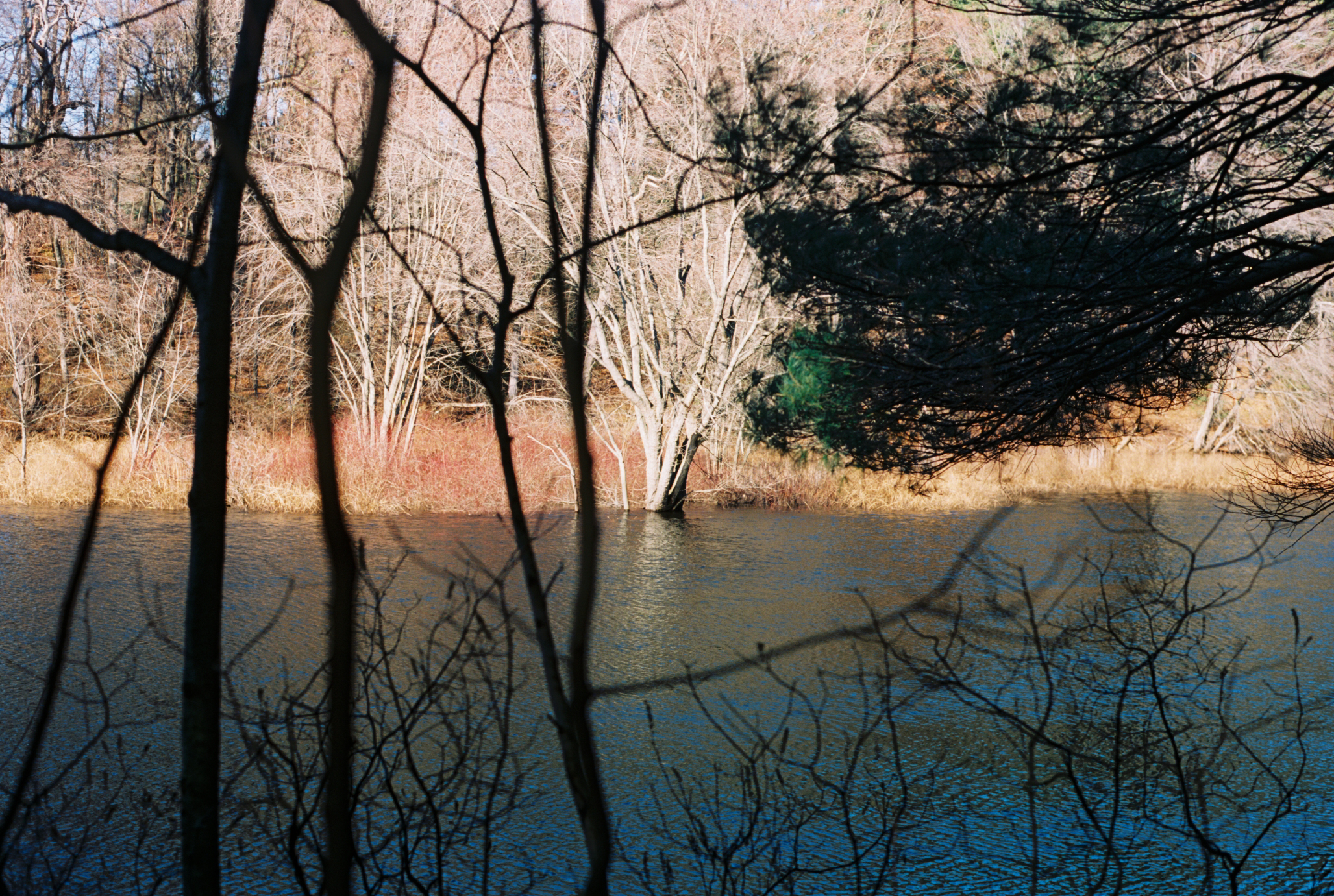 67.jpg