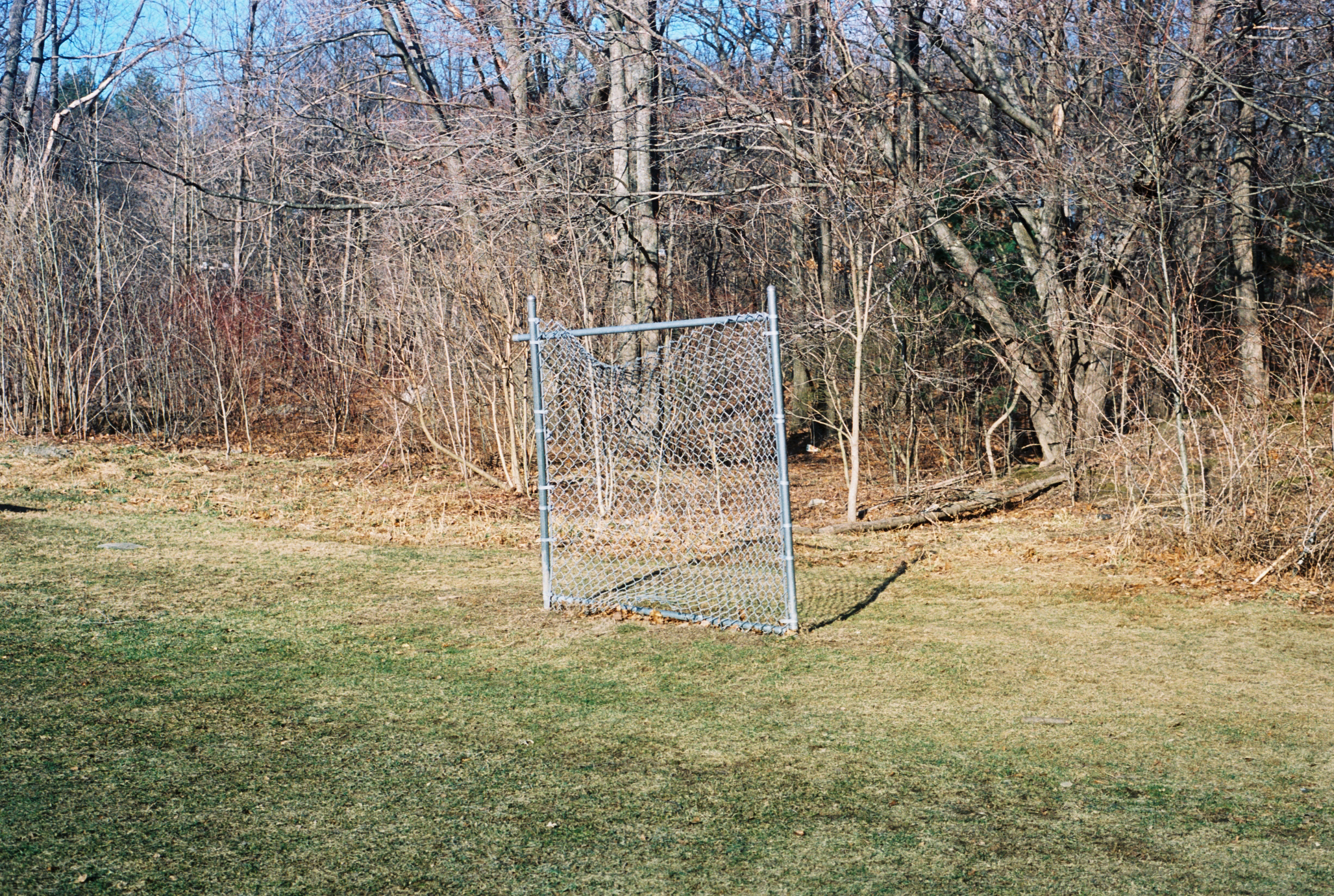 Fence.jpg