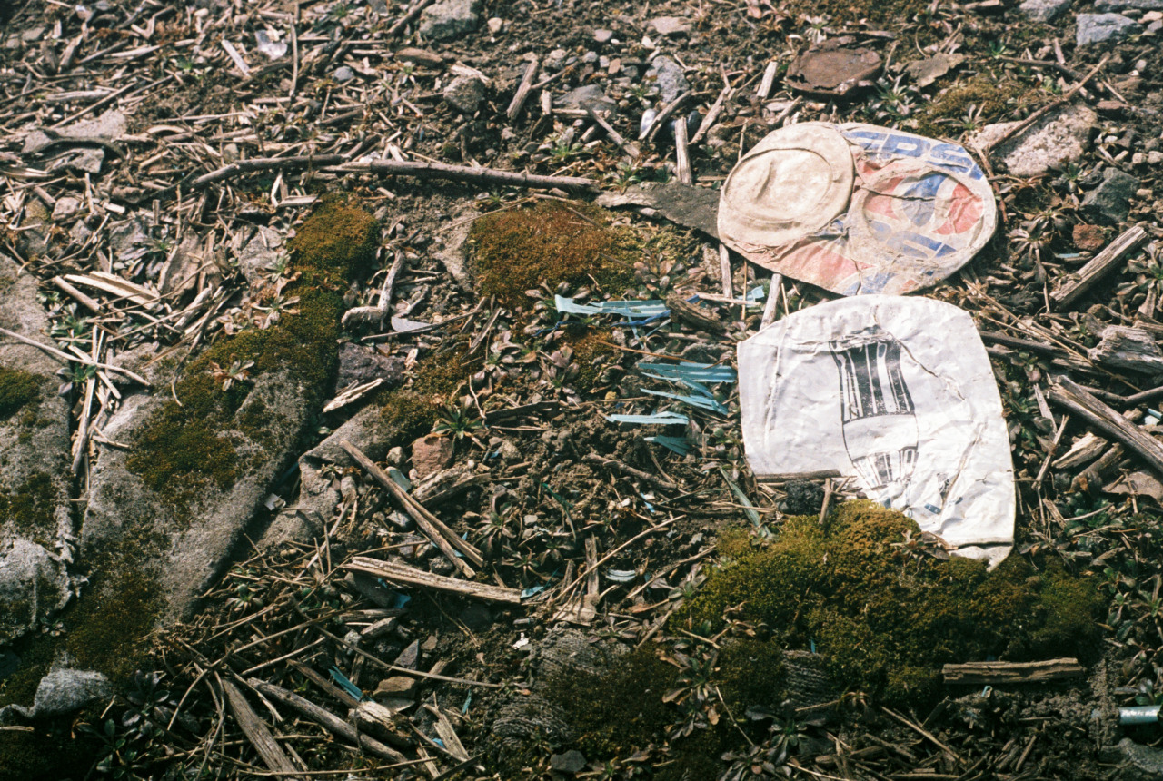 2011 (4).png