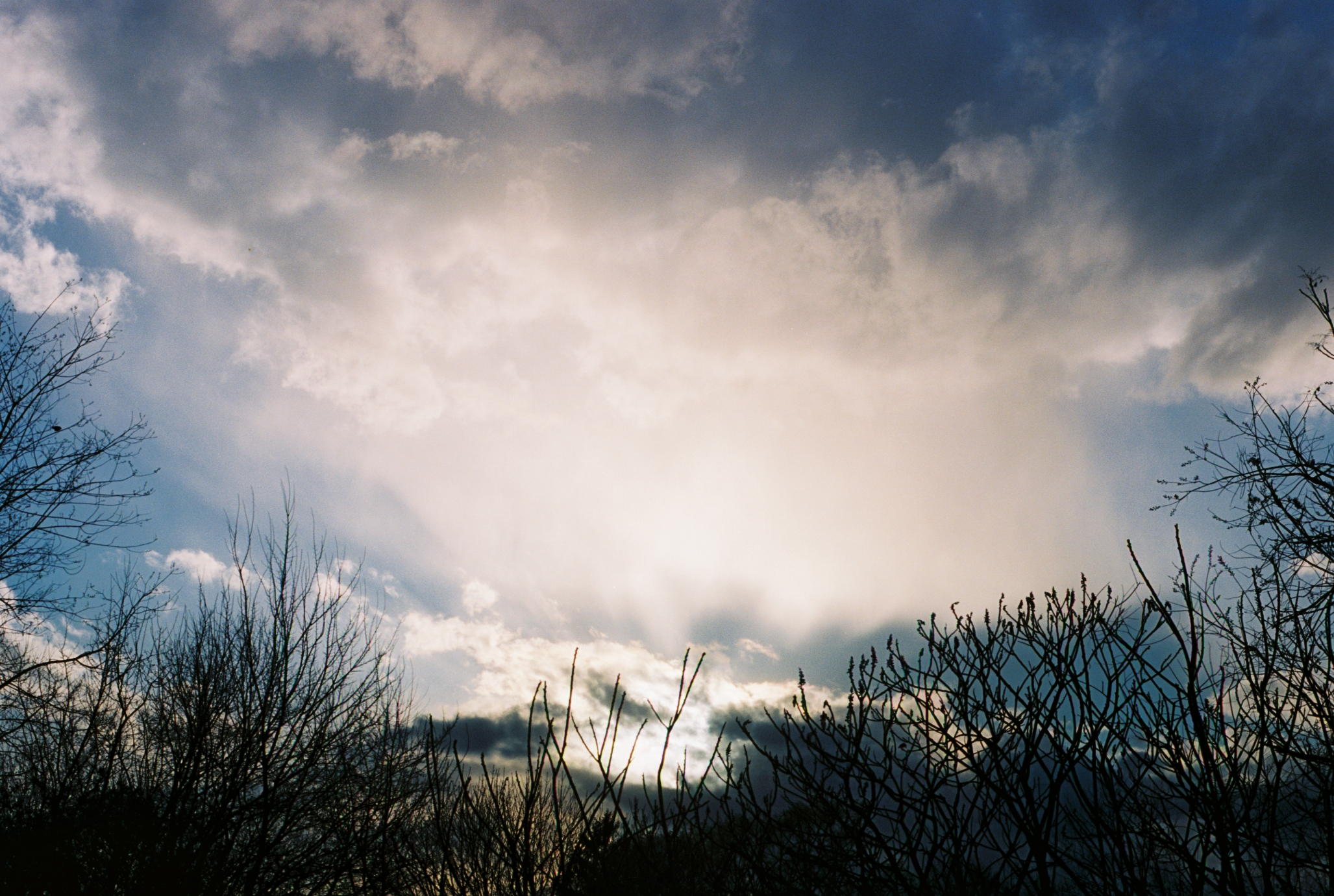 Backlight (Spring 2012).png