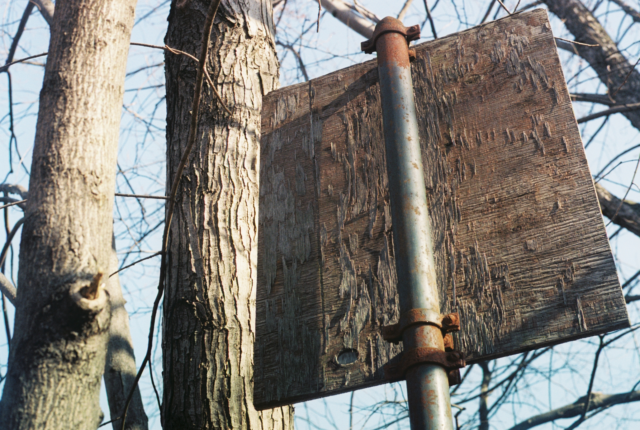 Wooden Sign (Spring 2012).png