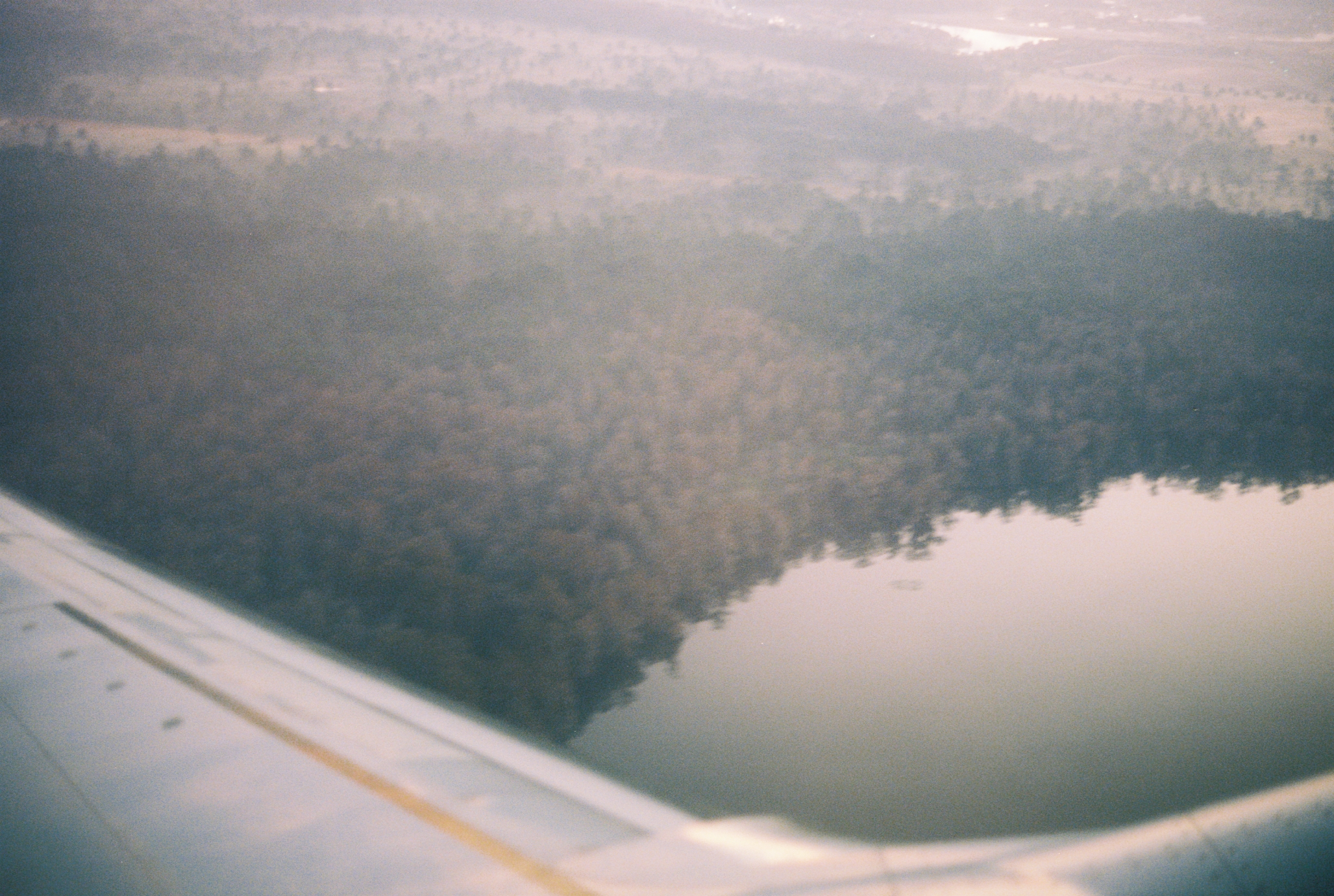Mist (Winter 2012).png