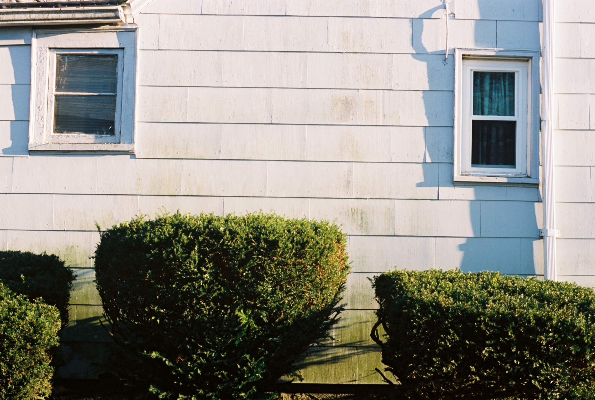 Two Windows (Spring 2011).png