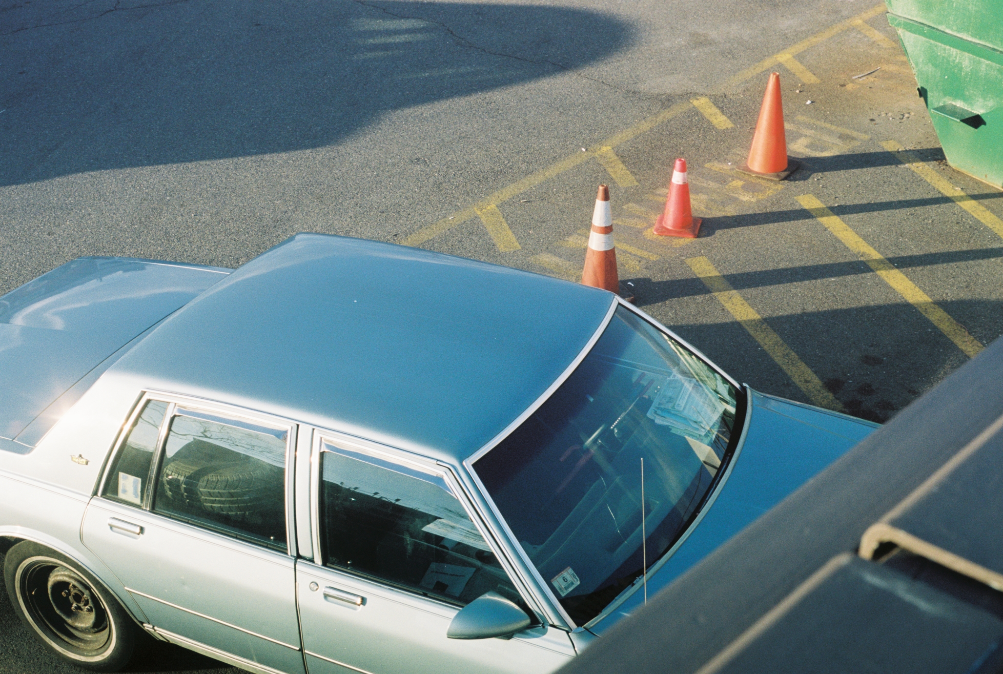 Cones (Winter 2012).png