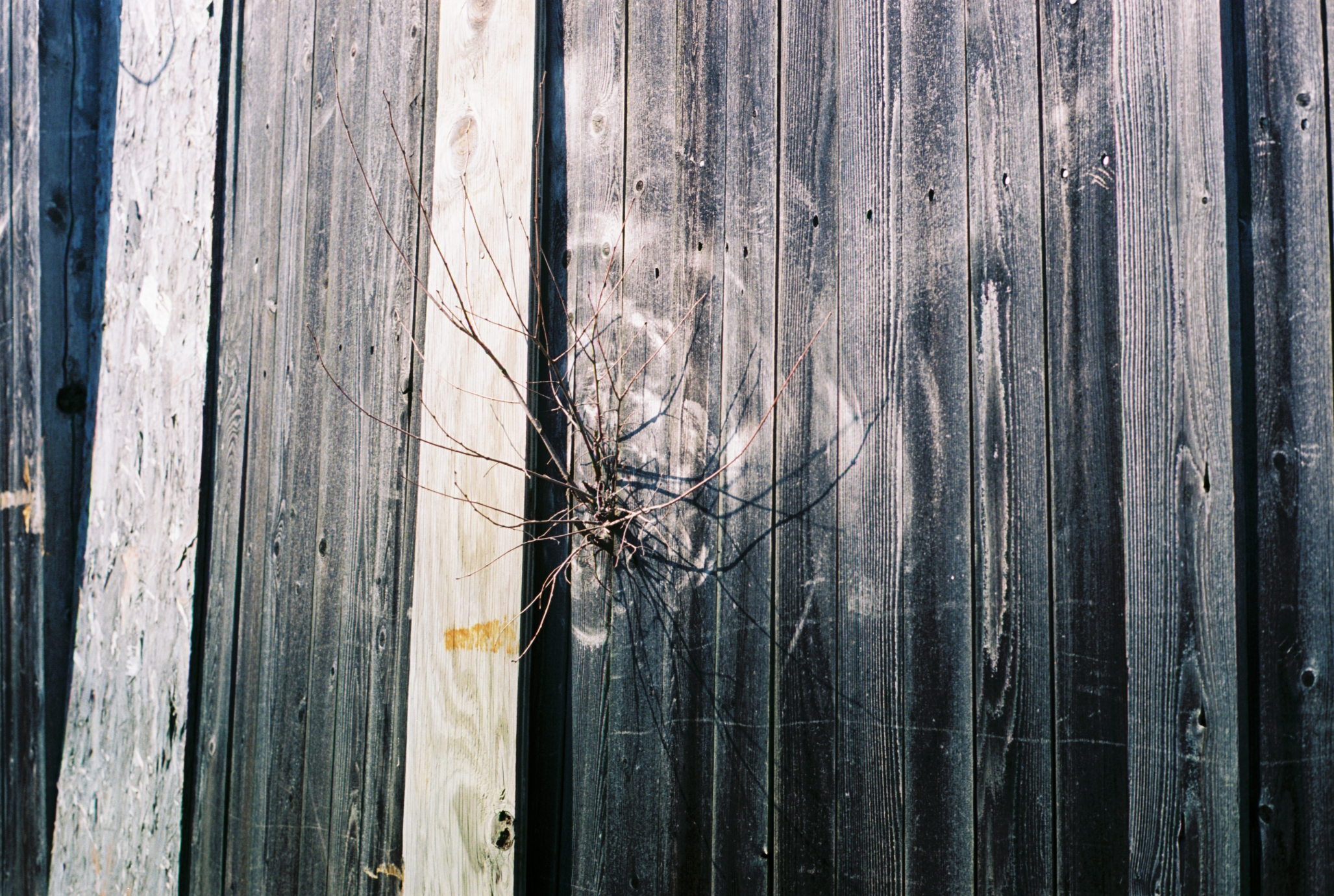 Fence (Spring 2012).png