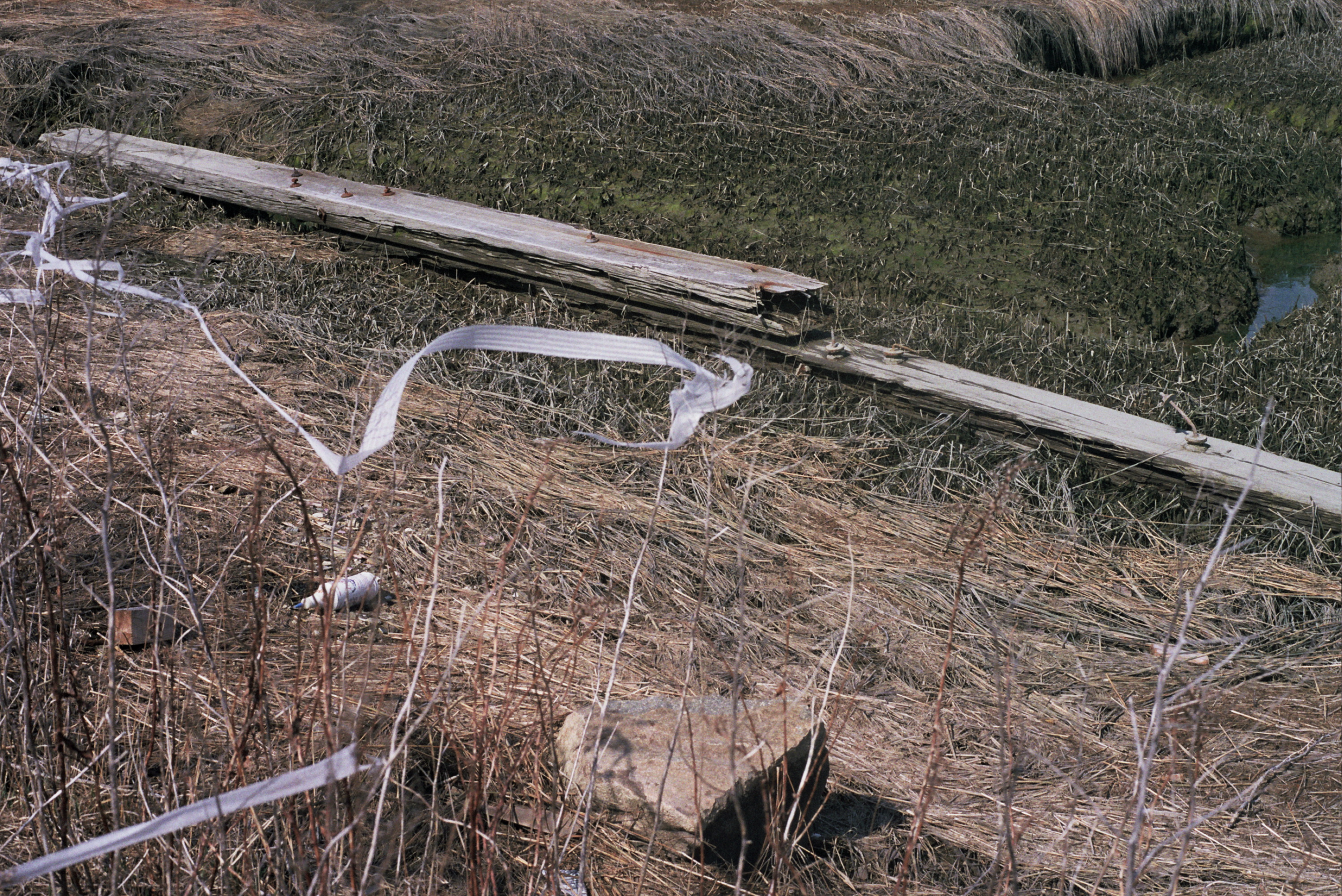 Plank (Spring 2012) (2).png