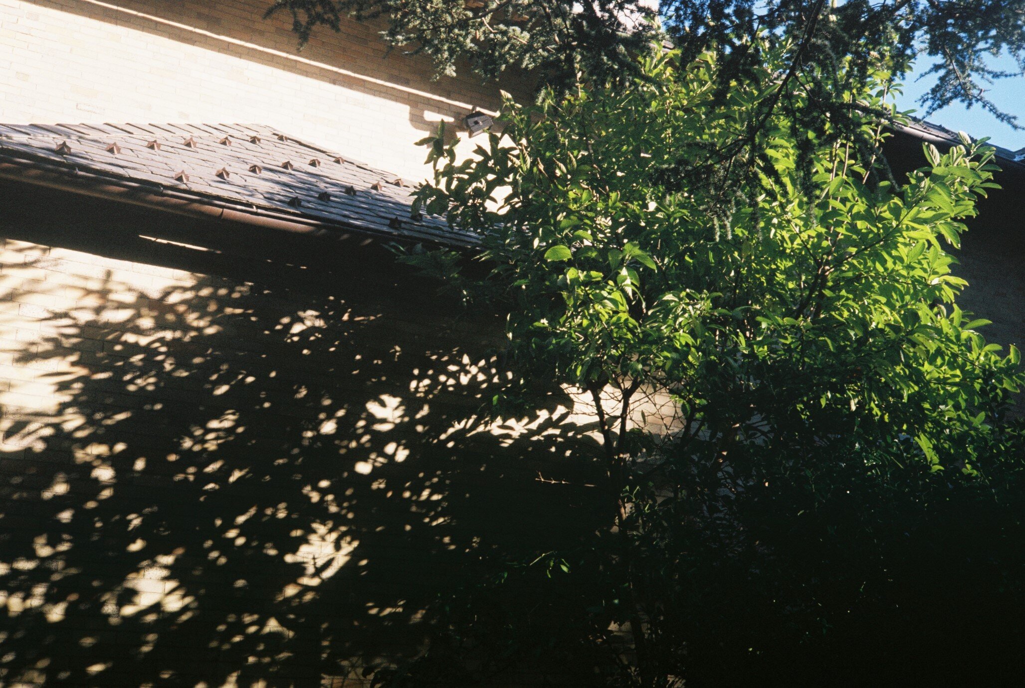 Z315.jpg