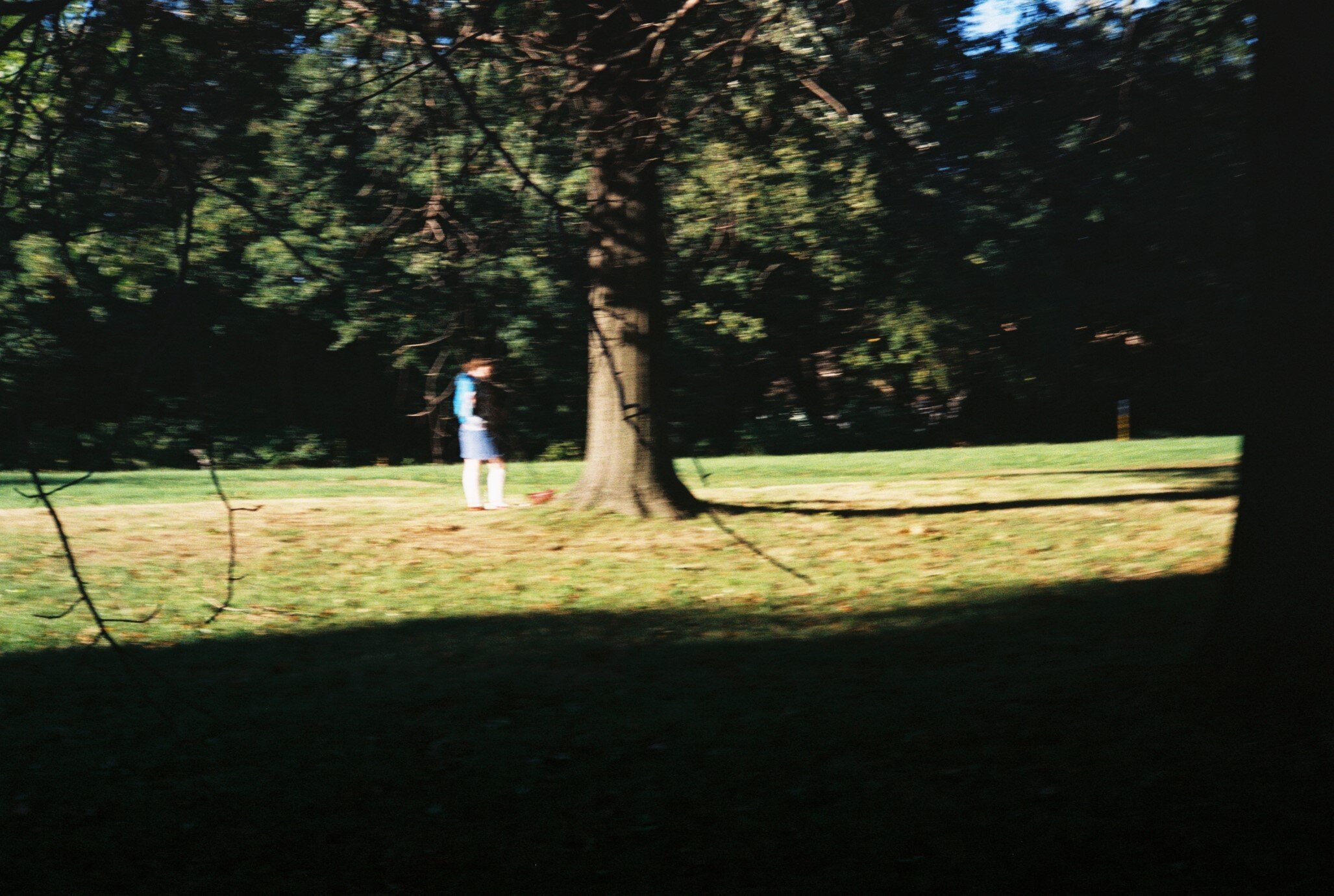 Z318.jpg