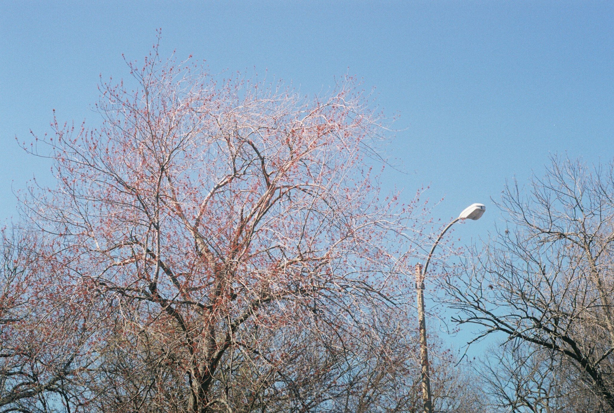 Z719.jpg