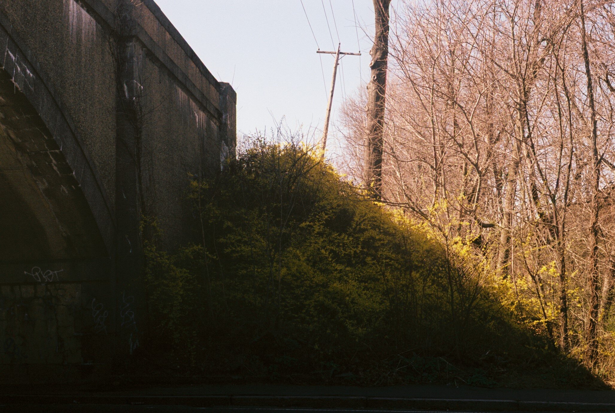 Z720.jpg
