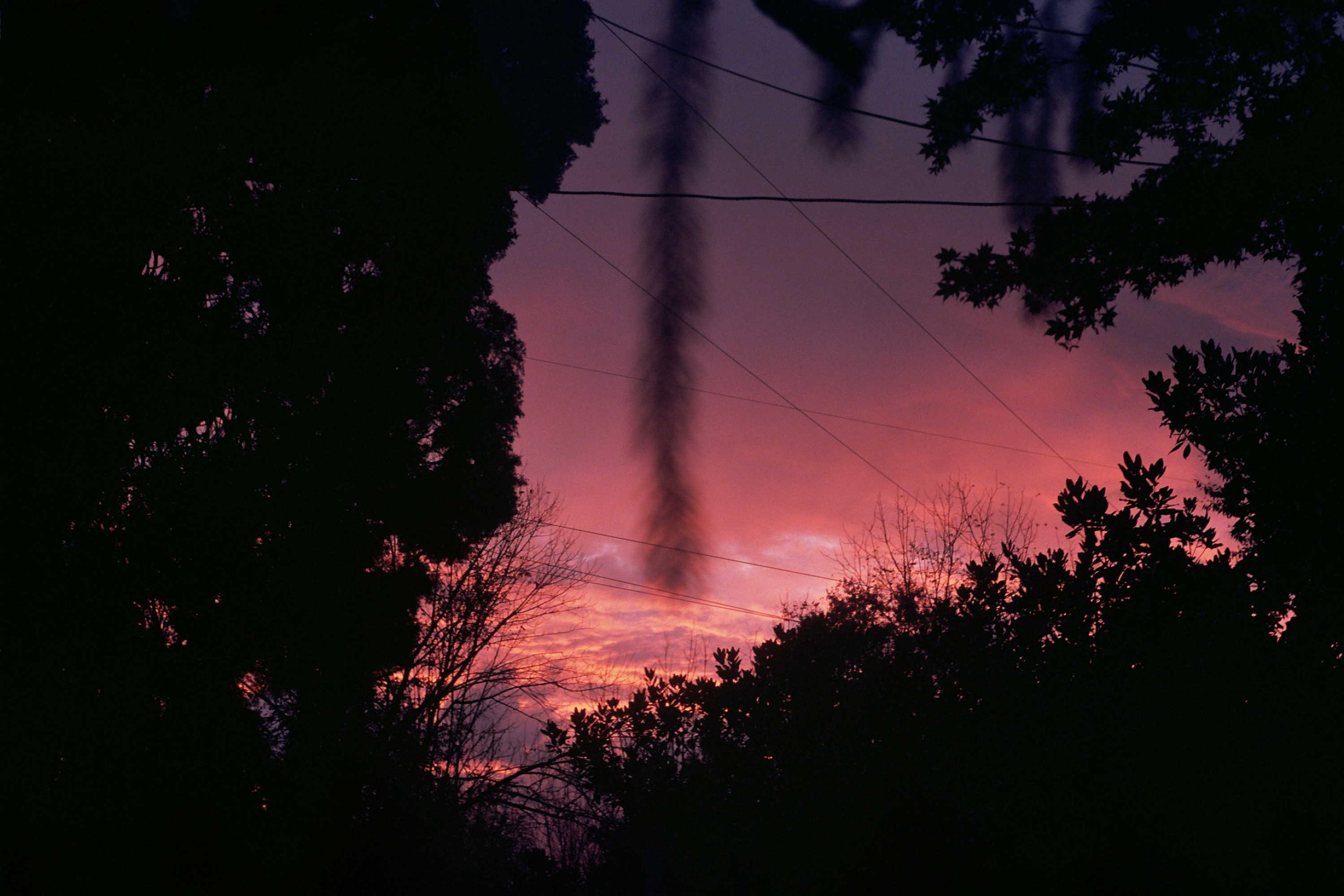 _4A_0147.jpg