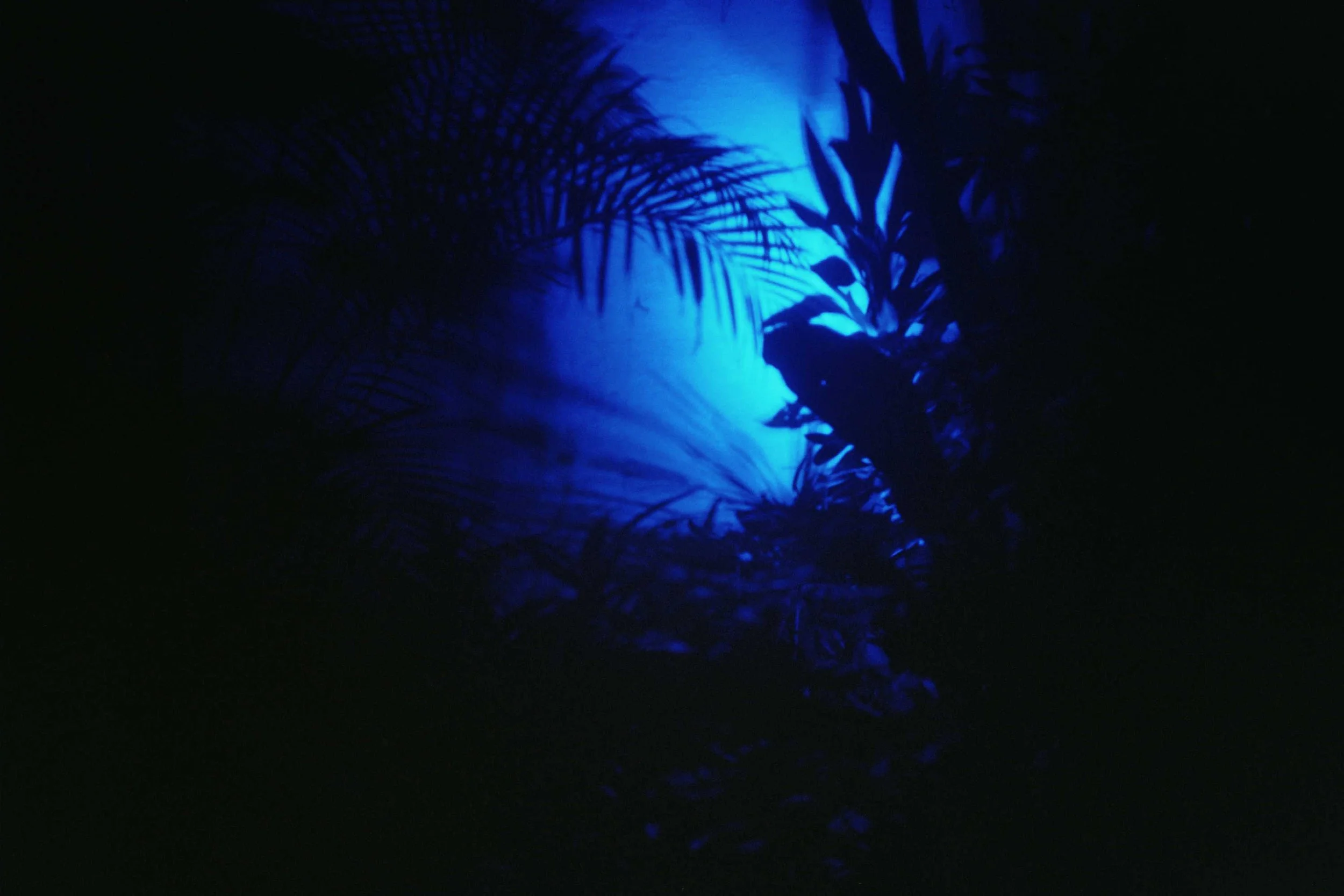 26A_0217.jpg
