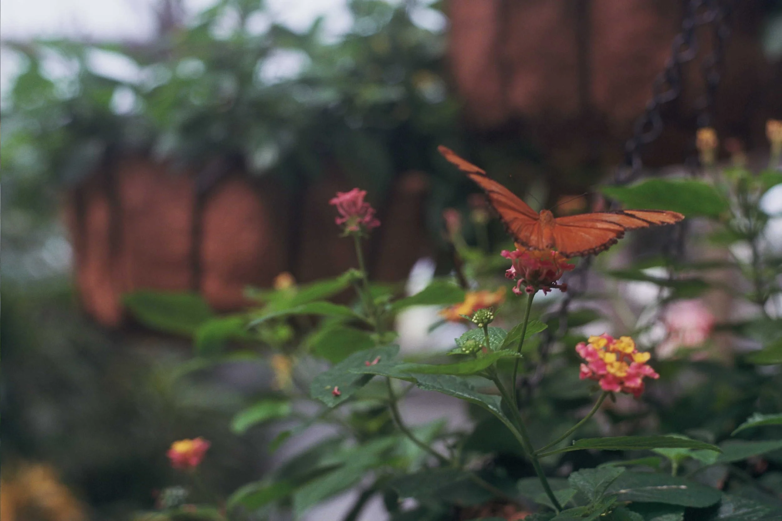 26A_0486.jpg