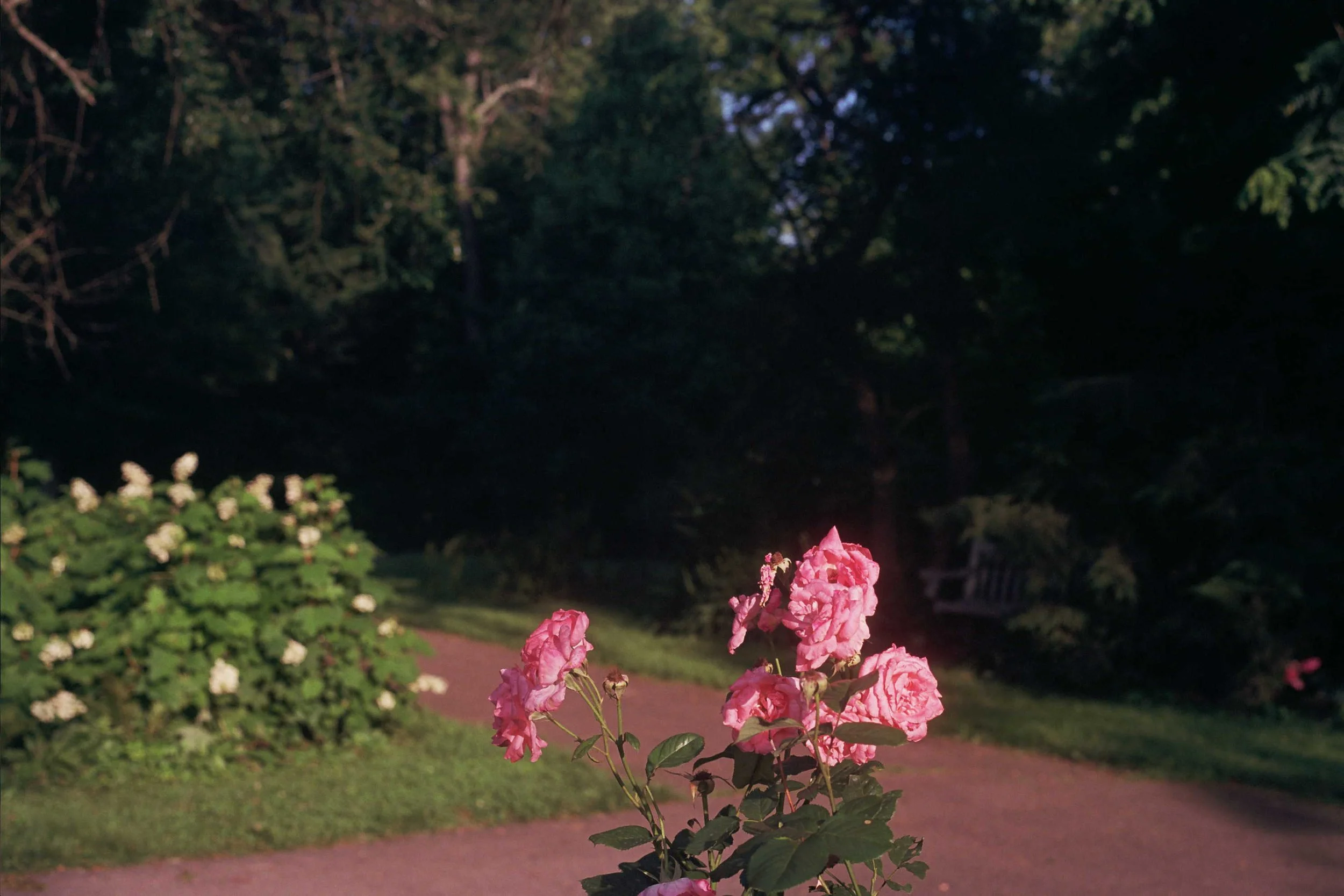 29A_0146.jpg