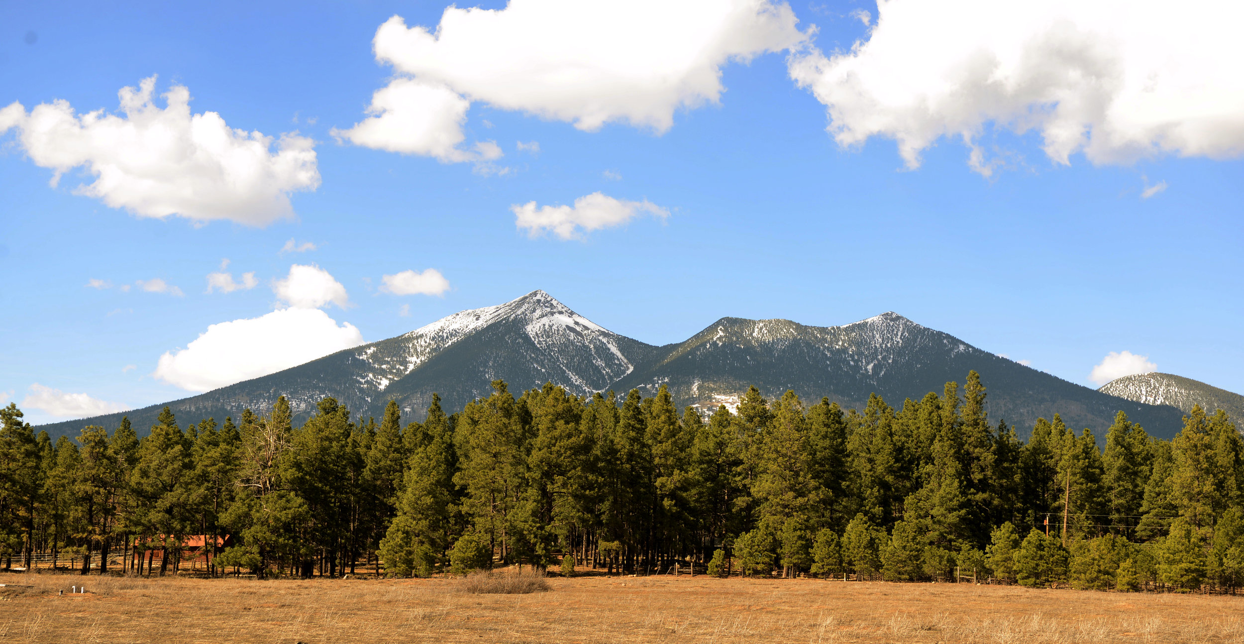 San Francisco Peaks