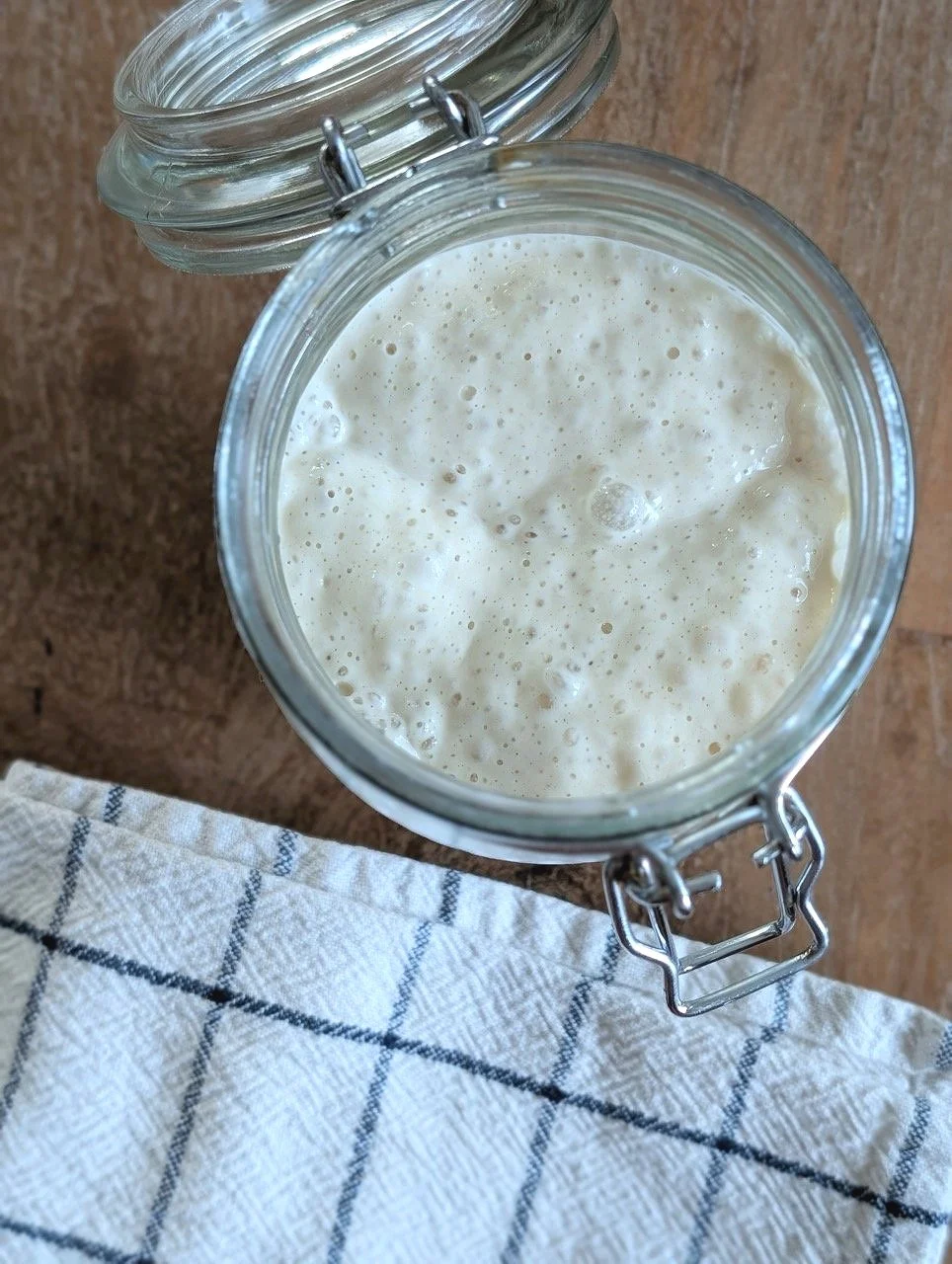 Starting My Sourdough Starter Journey