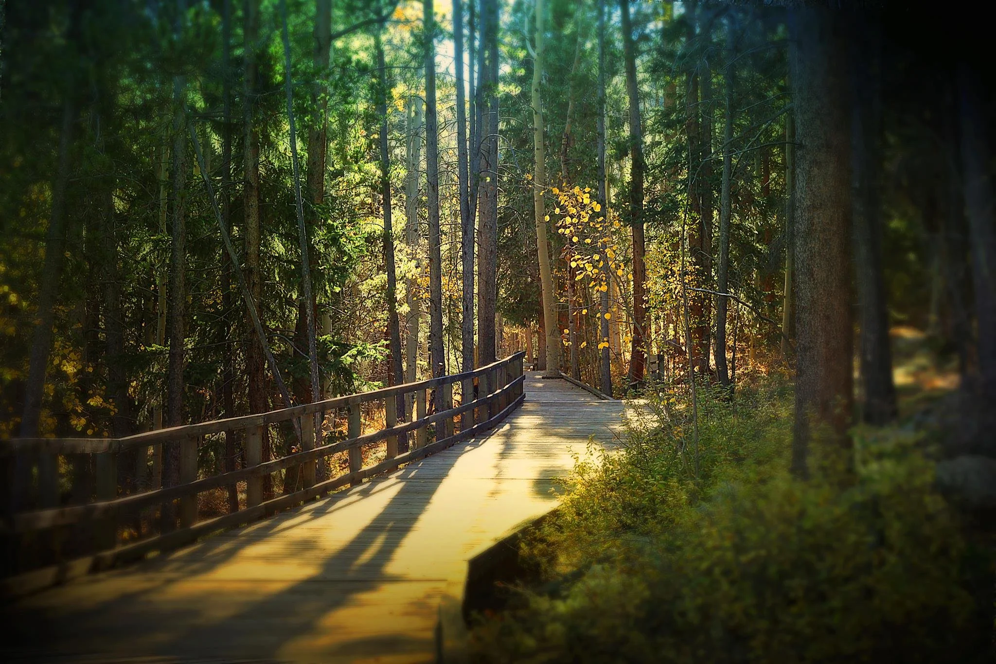 Wilderness On Wheels is a wheelchair accessible mountain facility in Colorado. We have accessible hiking on our boardwalks, fishing, and overnight stays (cabins, campsites, and huts!)