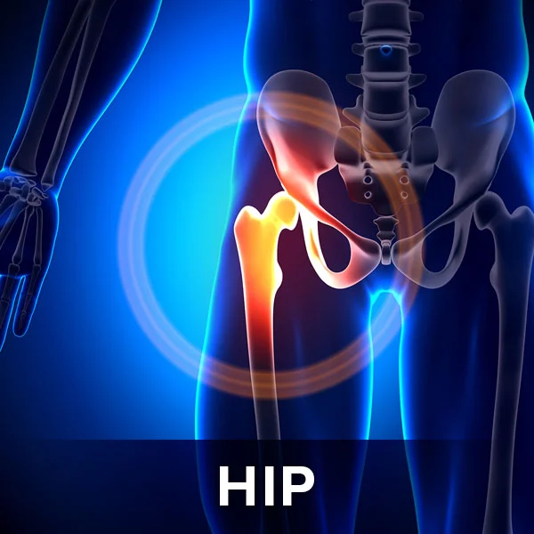 hip.jpg