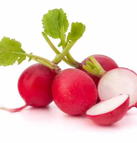 radish.jpg
