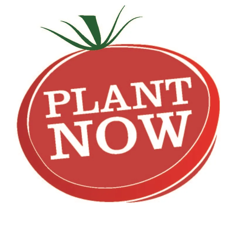 PLANT NOWBLOG-1.jpg