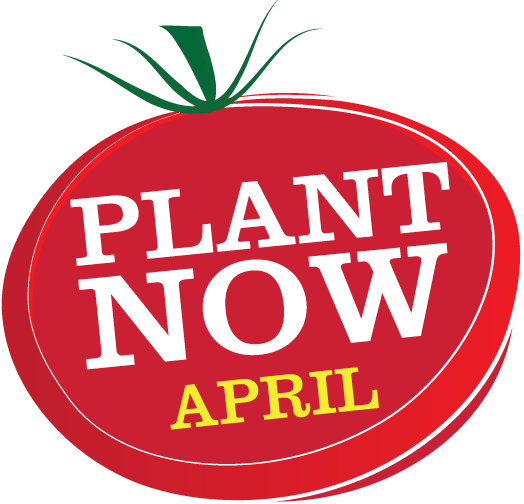 PLANT NOWBLOG-APRIL.png
