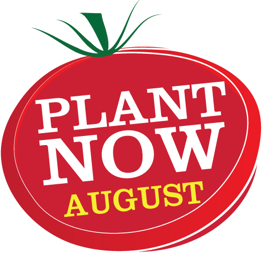 PLANT NOWBLOG-AUGUST.png