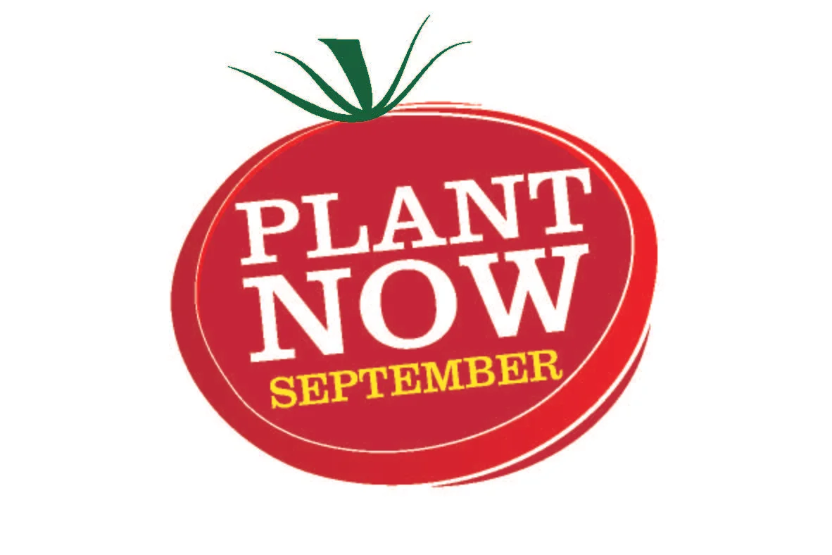 PLANT NOWBLOG-SEPTEMBER.jpg