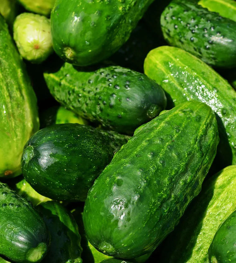 cucumbers.jpg