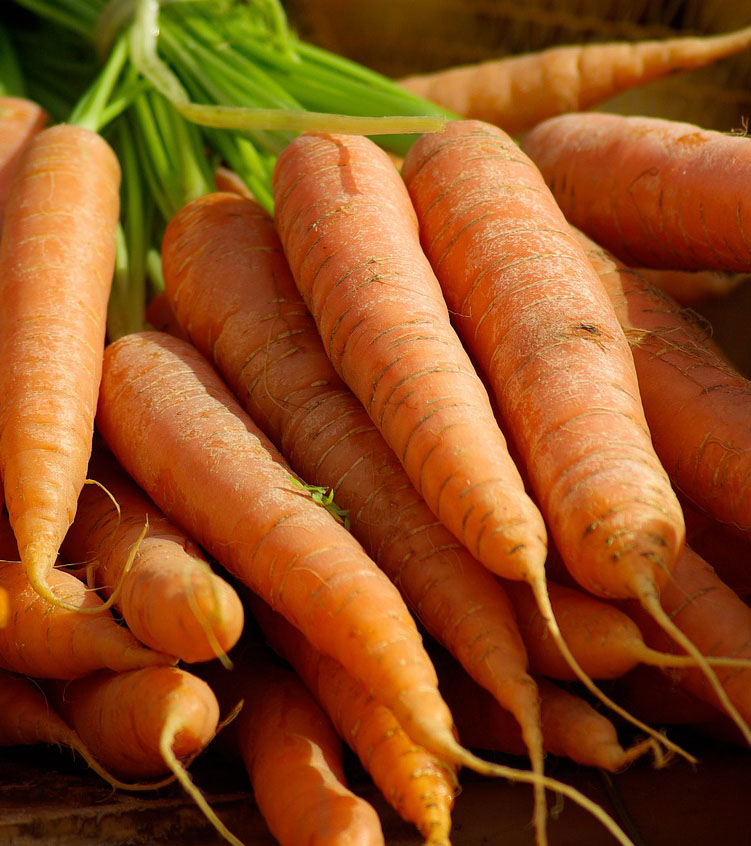 carrots.jpg