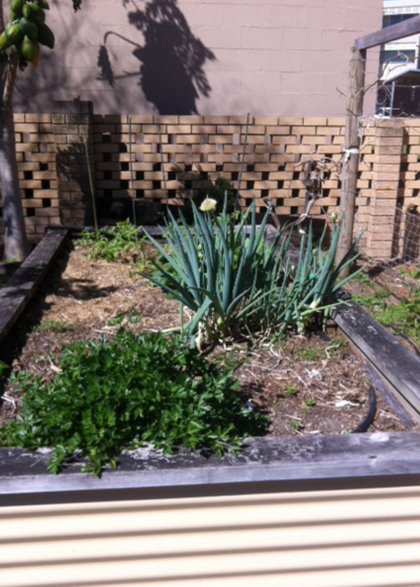 Initial condition of garden bed