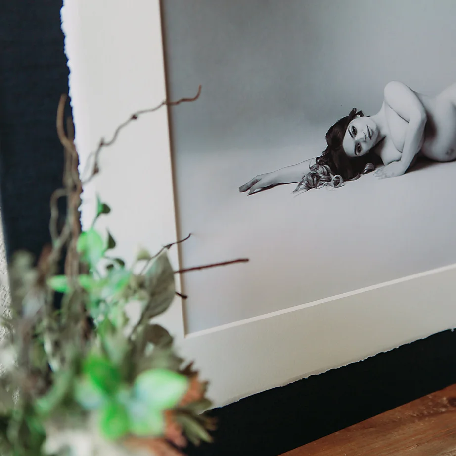 Fine Art Panel shown here