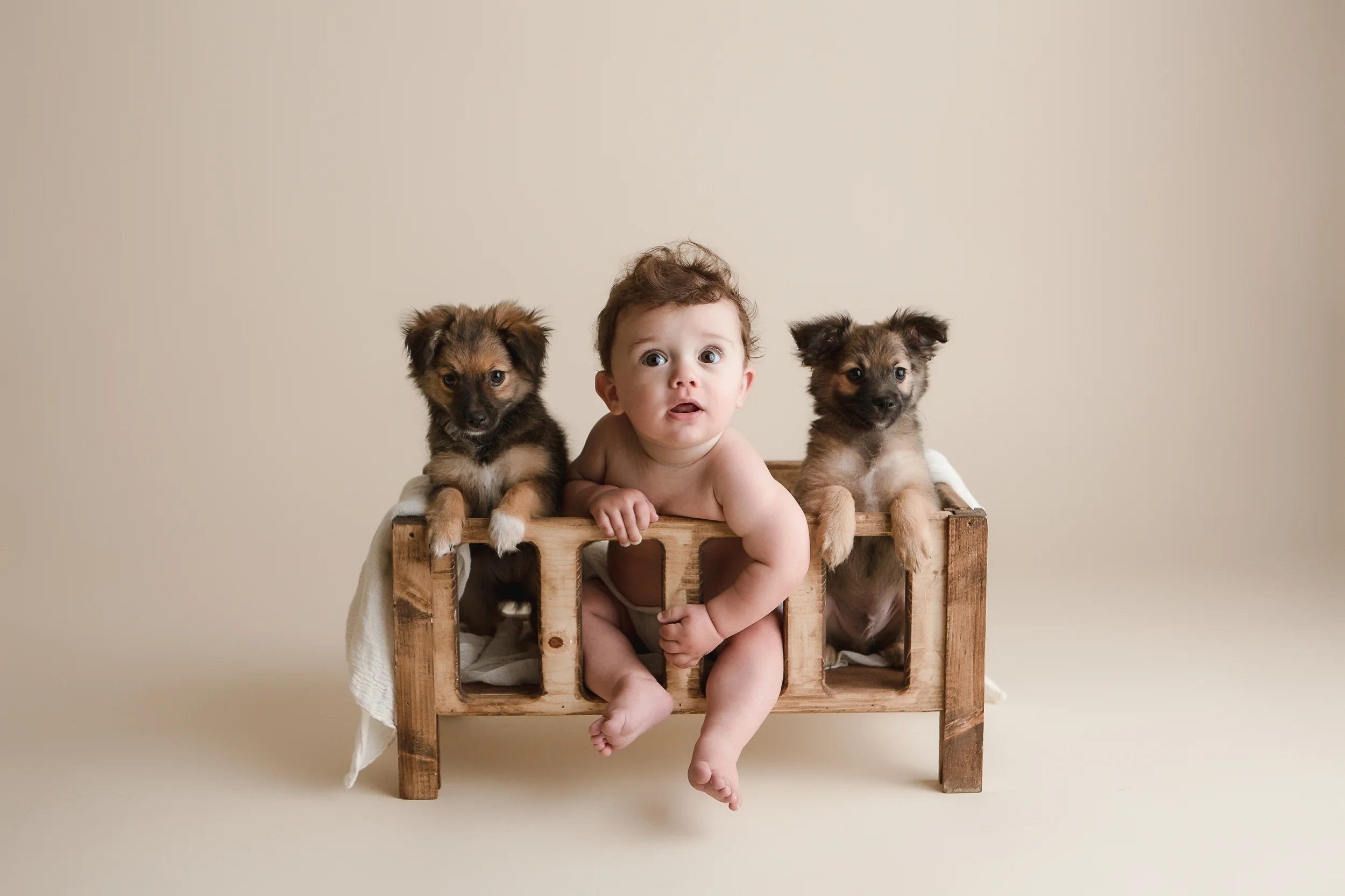 puppies 19.jpg