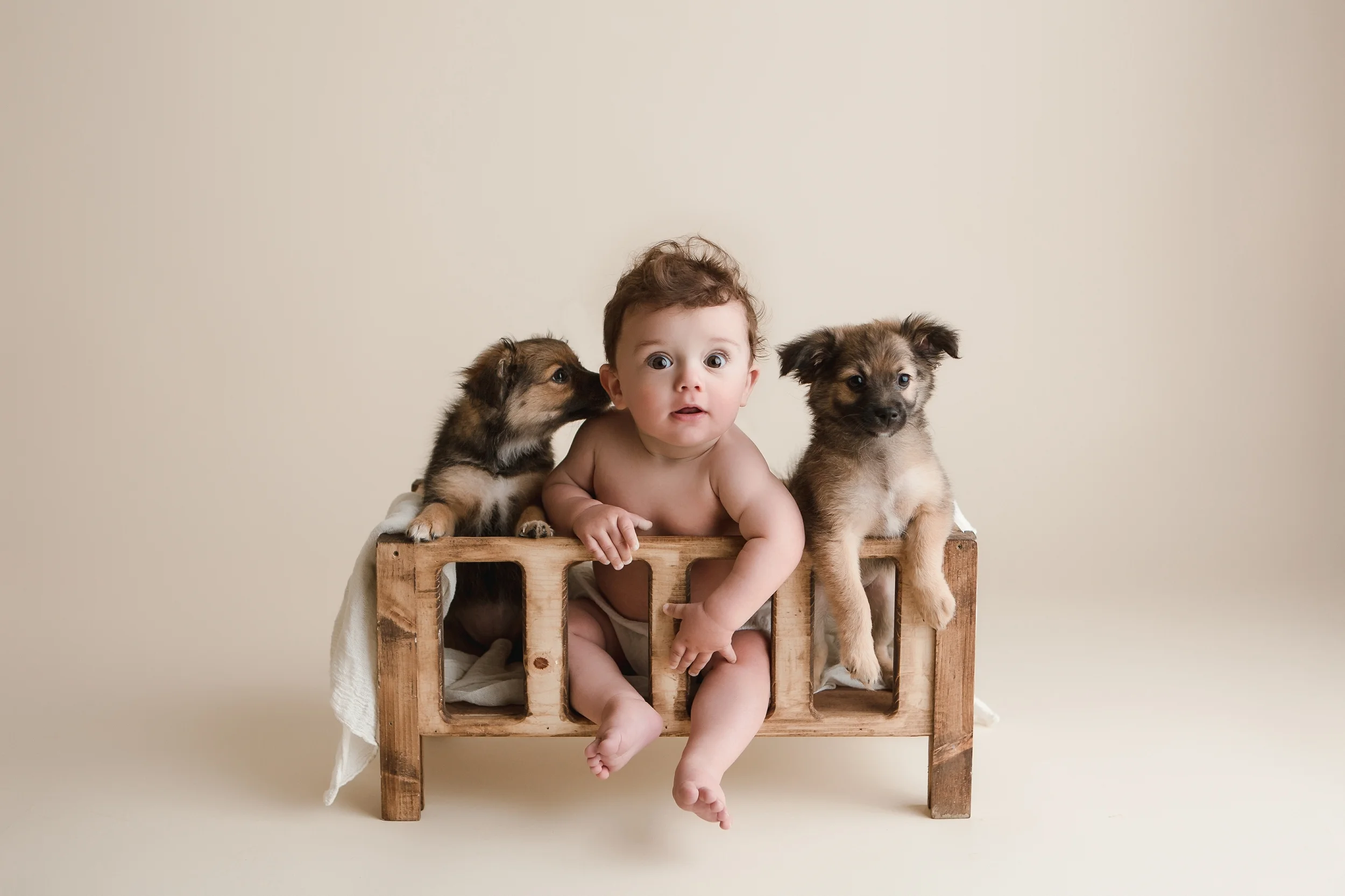 puppies 17.jpg