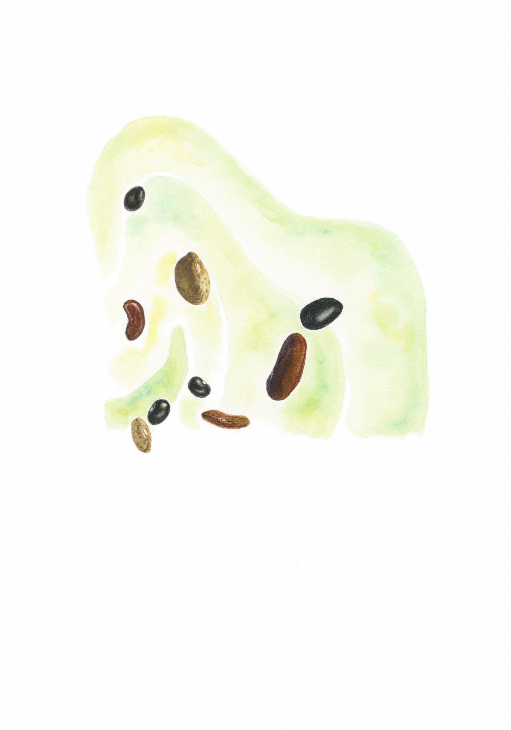 November 2022: Dried Beans