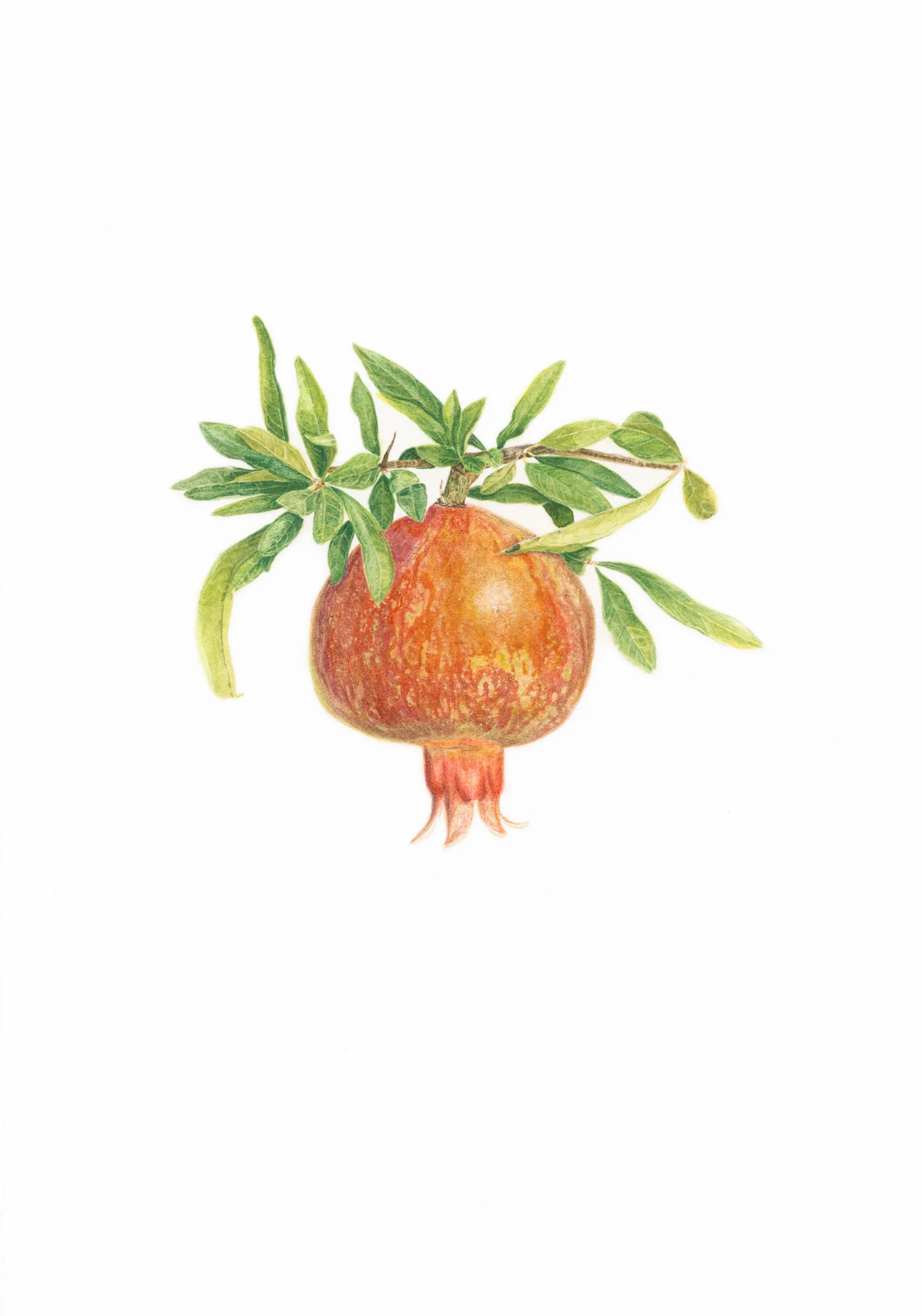 2 The High Priestess (Pomegranate)