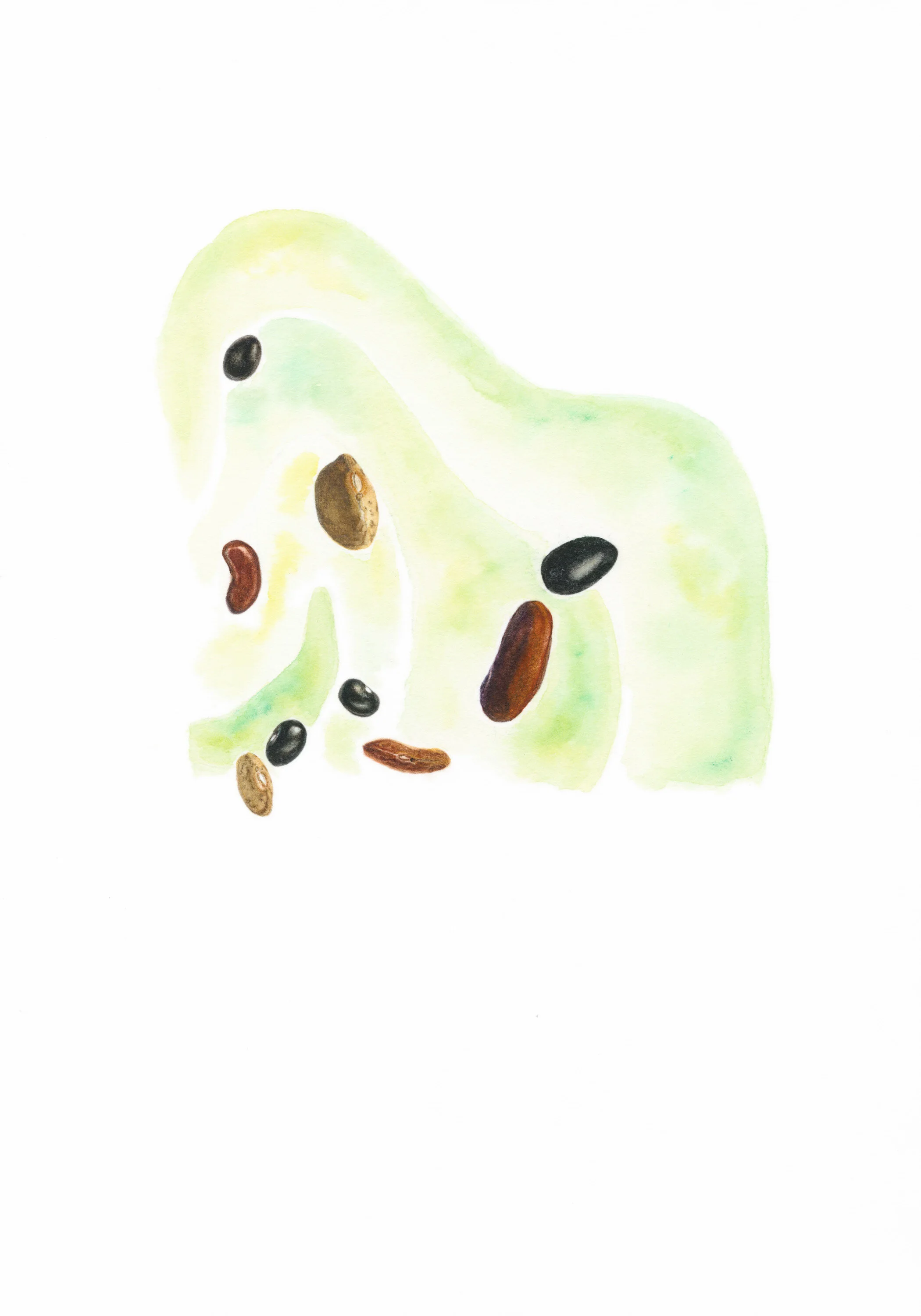 3 The Empress (Dried Beans)