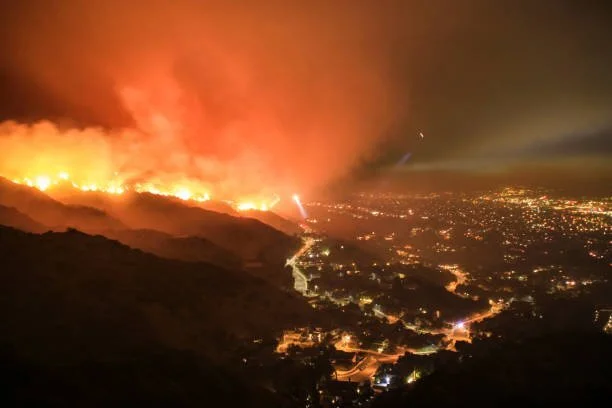Managing Wildfire Risk with Big Data AMA